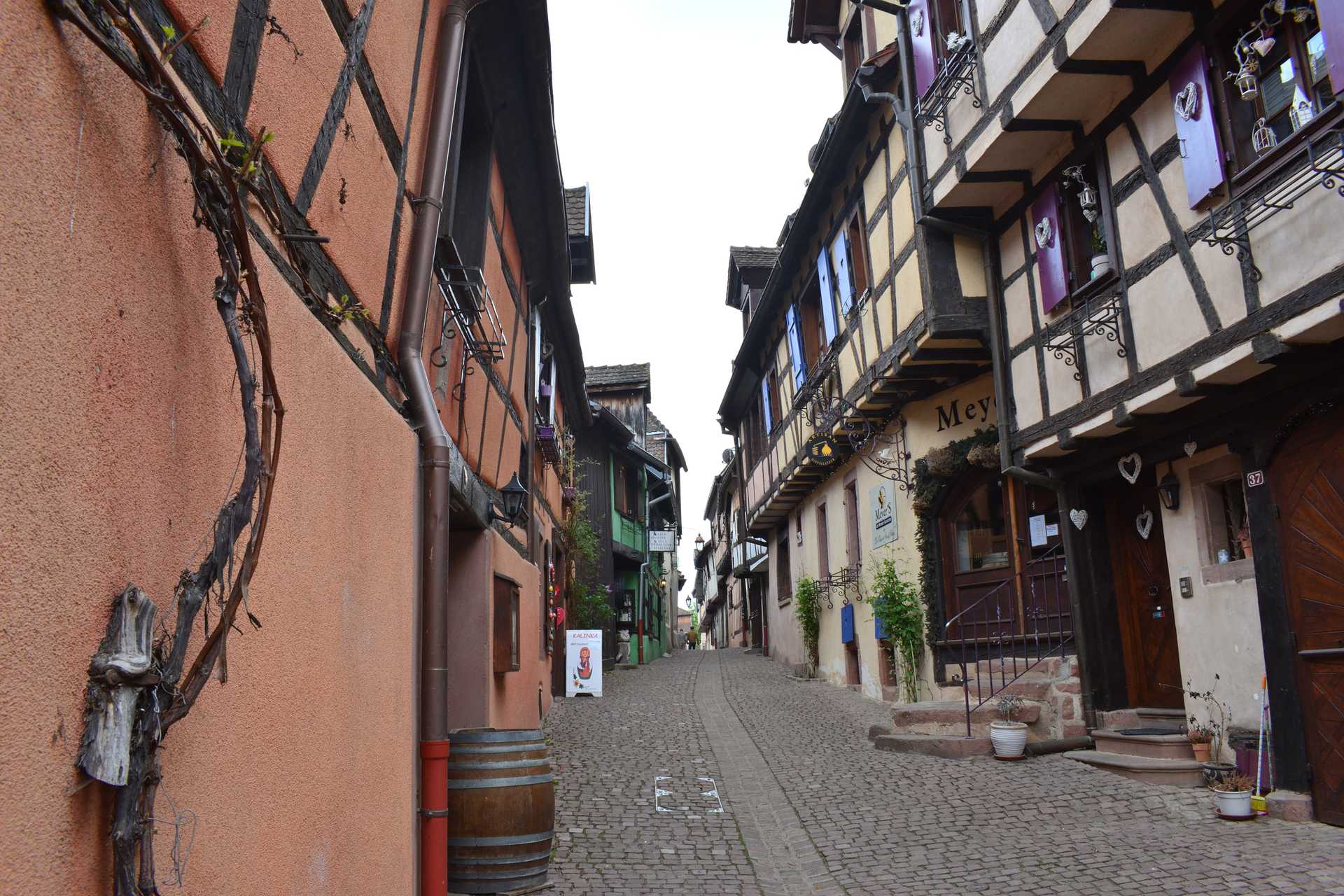 Colmar 4th Day Riquewihr Rue des Remparts 2