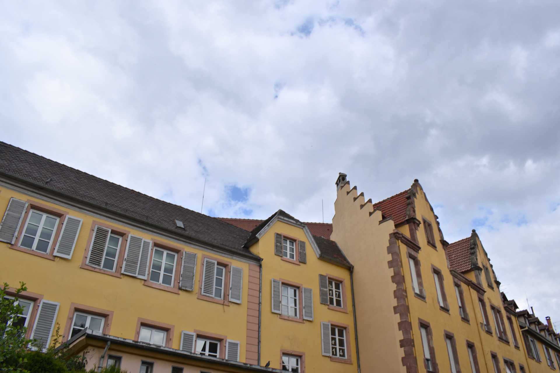 Colmar 3rd Day Sweet Narcisse Go 27