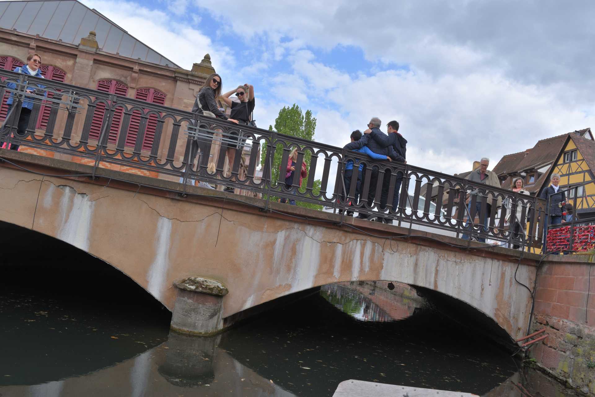 Colmar 3rd Day Sweet Narcisse Go 40