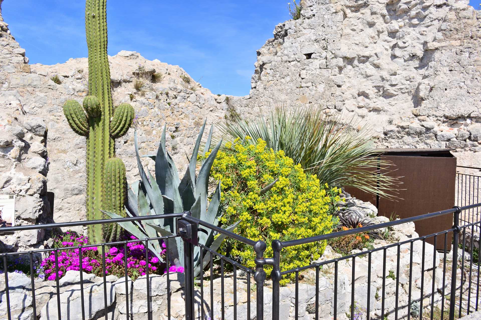 6th Day Eze Village Exotic Jardin The Top 7