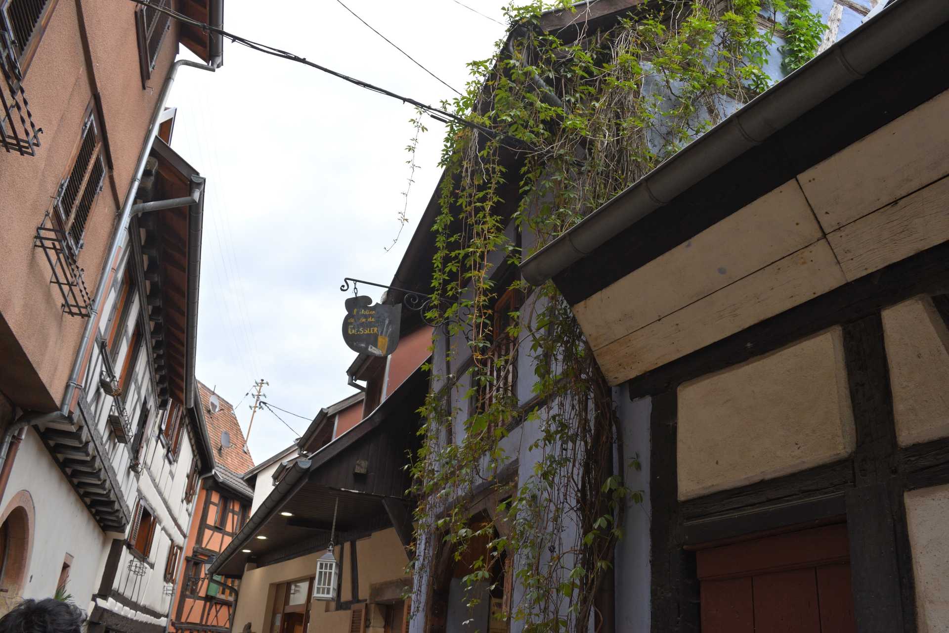 Colmar 3rd Day Eguisheim Rue du Rempart Nord 2
