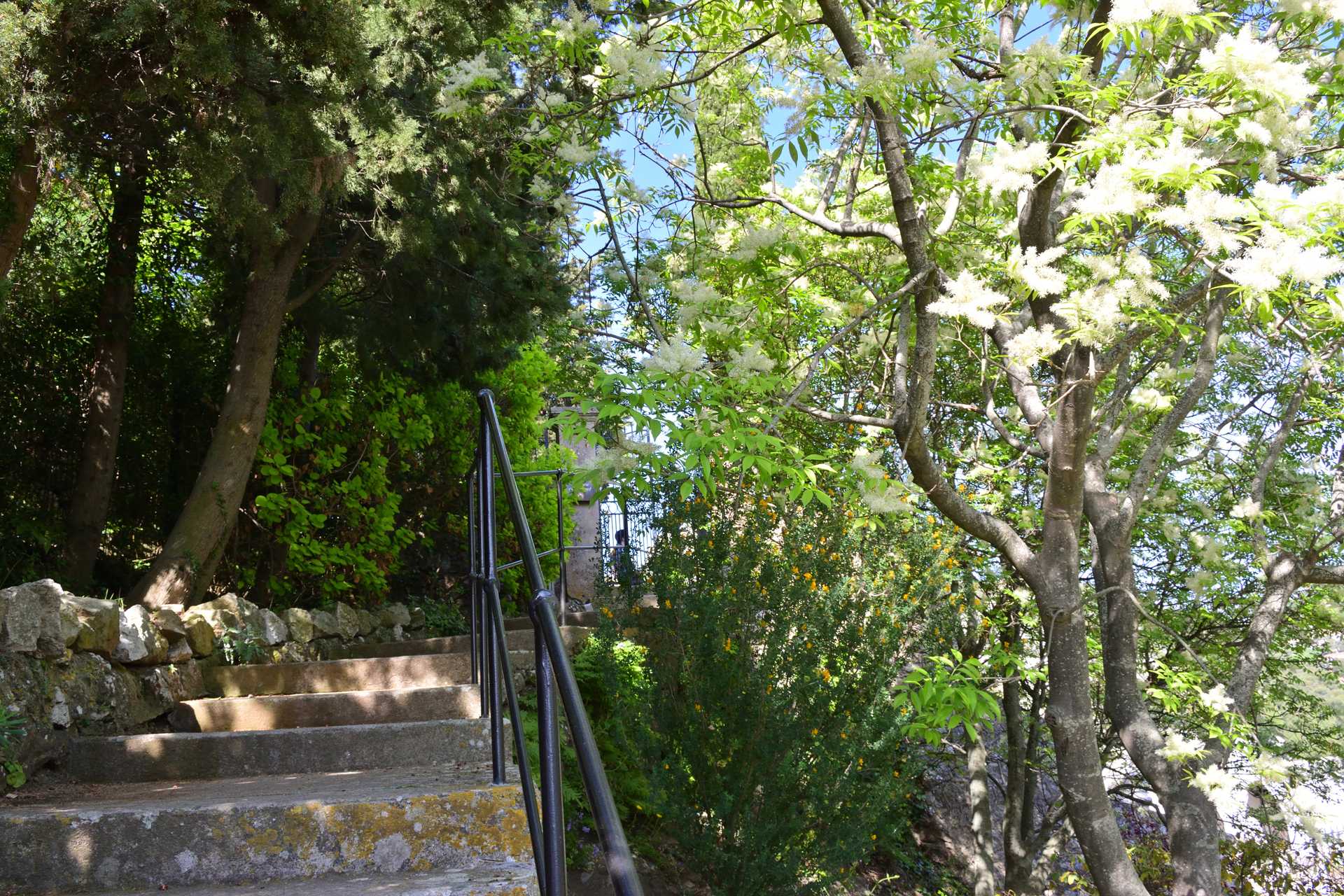 7th Day Eze Village Walk Around the Eglise 4