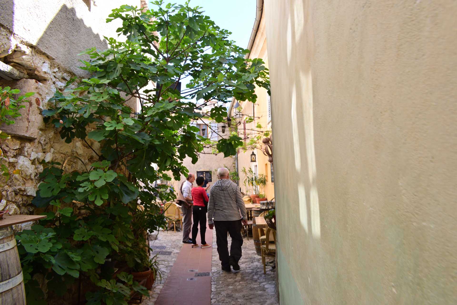 6th Day Eze Village towards Exotic Jardin 59