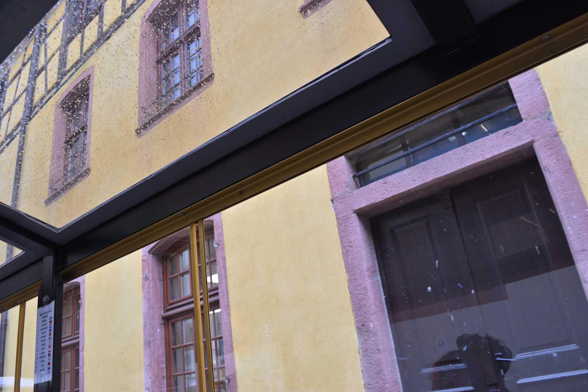 Colmar 4th Day Riquewihr Petit Train SAAT 49
