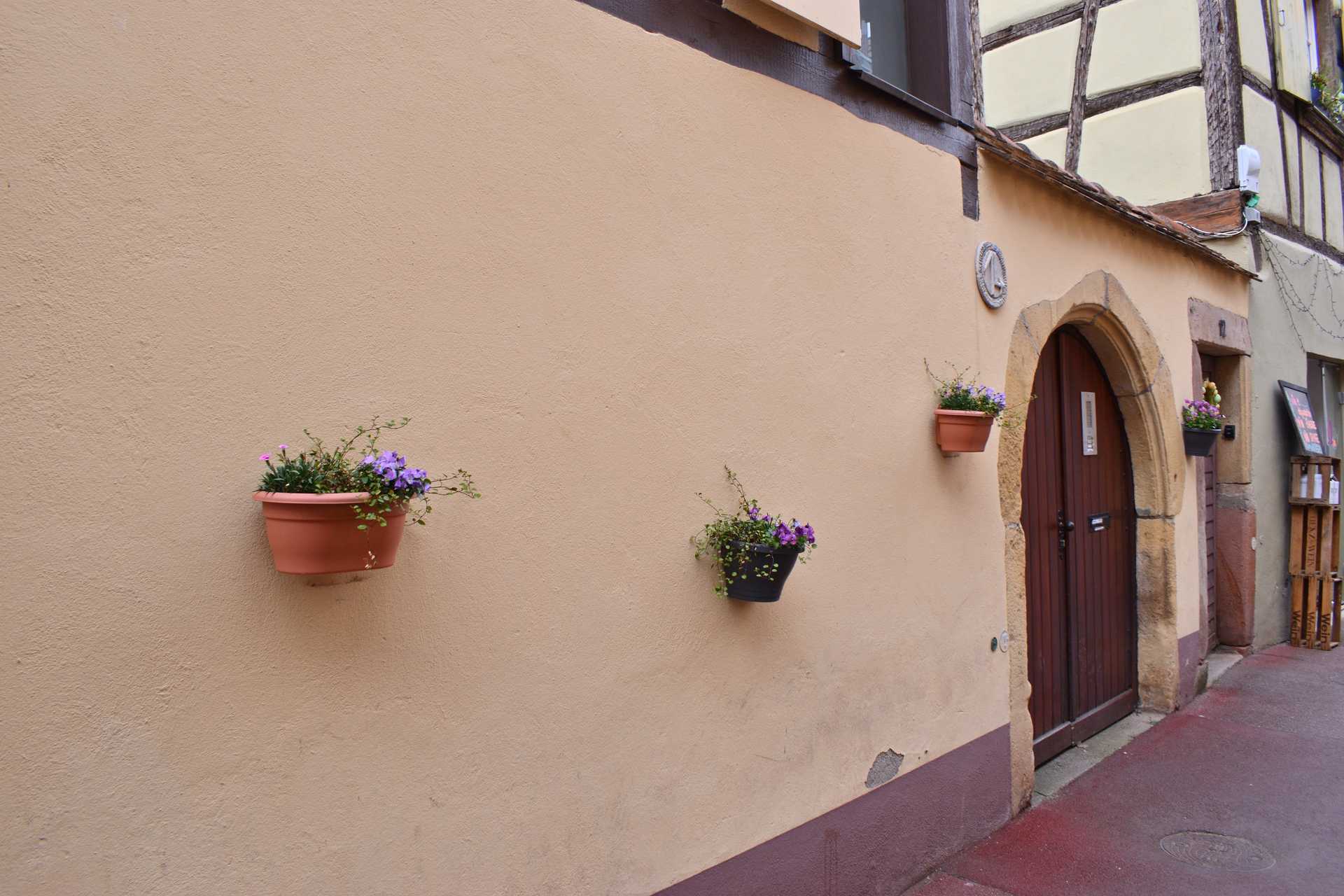 Colmar 3rd Day Sweet Narcisse to Apartment 2