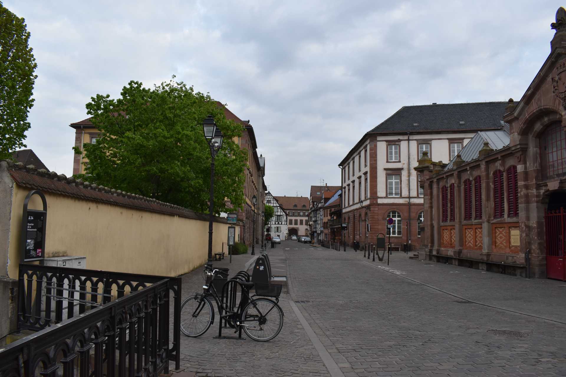 Colmar 2nd Day Morning 2