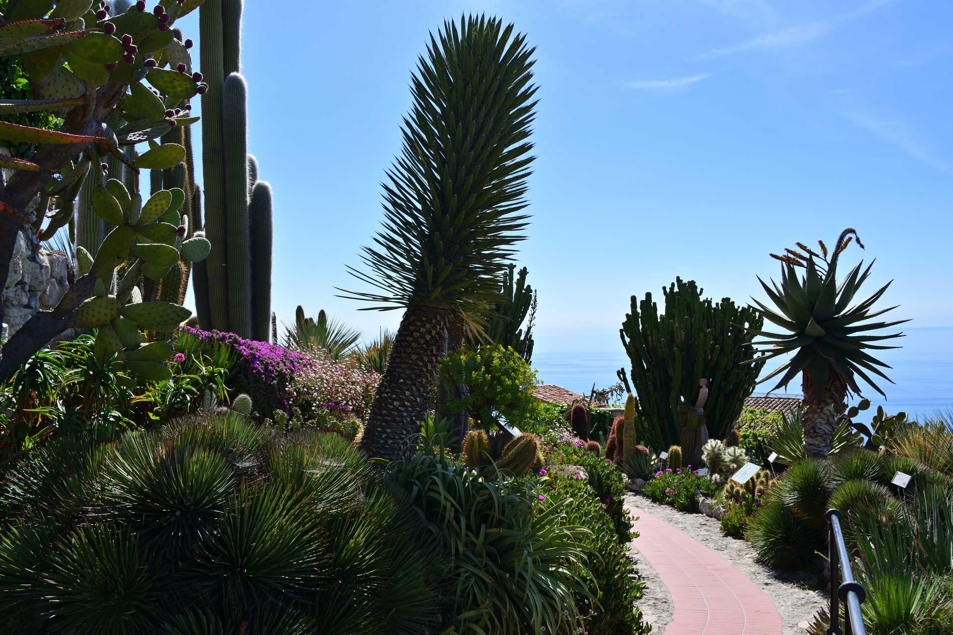 6th Day Eze Village Exotic Jardin Walk Around 8
