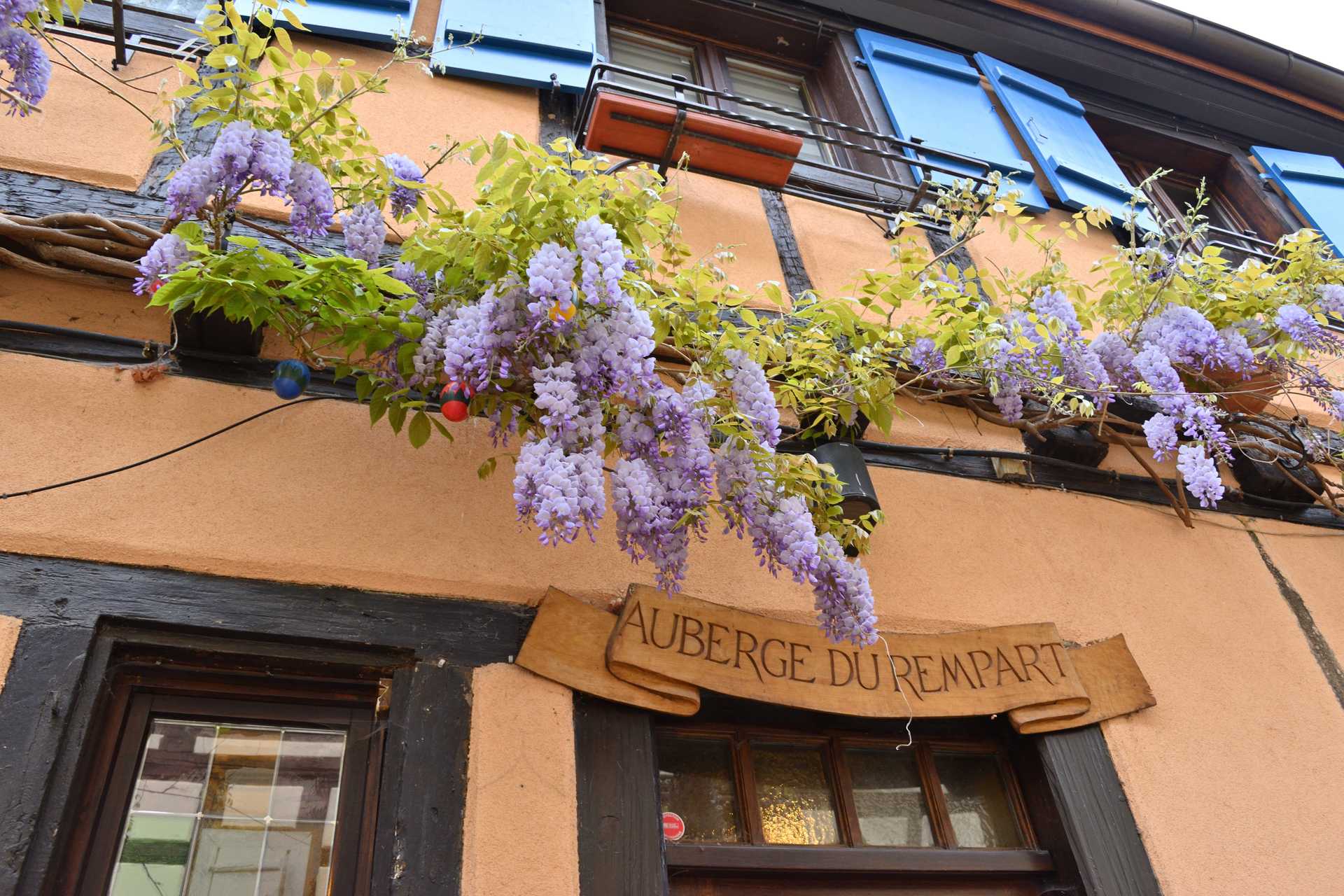 Colmar 3rd Day Eguisheim La Grange d'Eguisheim 2