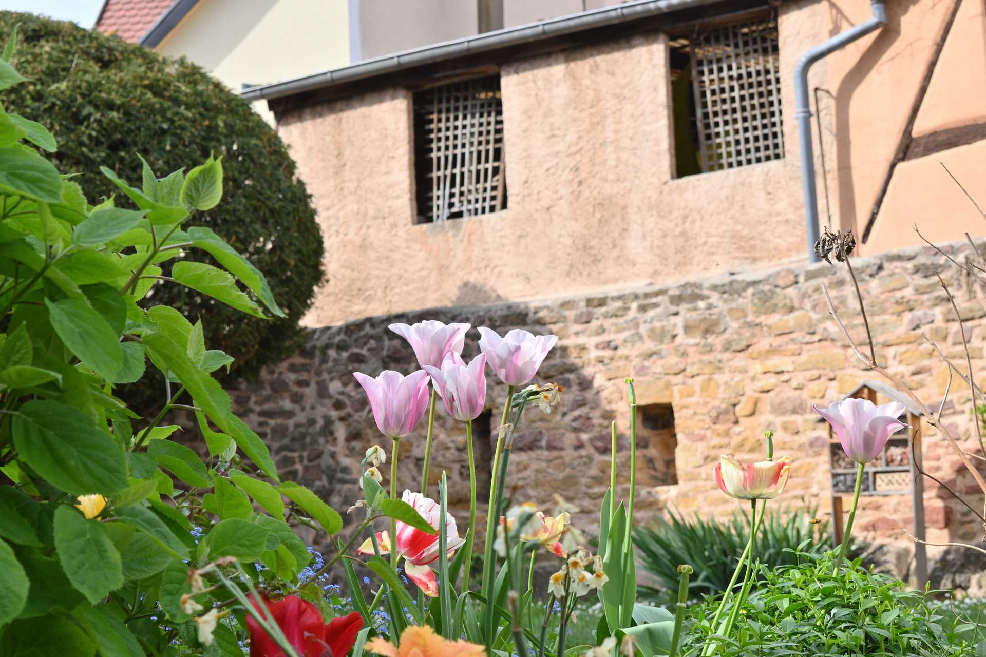 Colmar 3rd Day Eguisheim Pl du Chateau Saint Leon 8