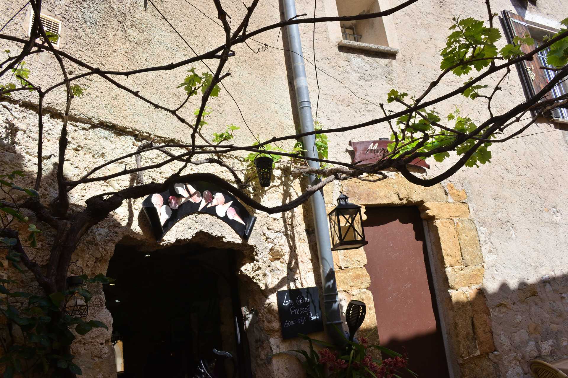 6th Day Eze Village towards Exotic Jardin 61