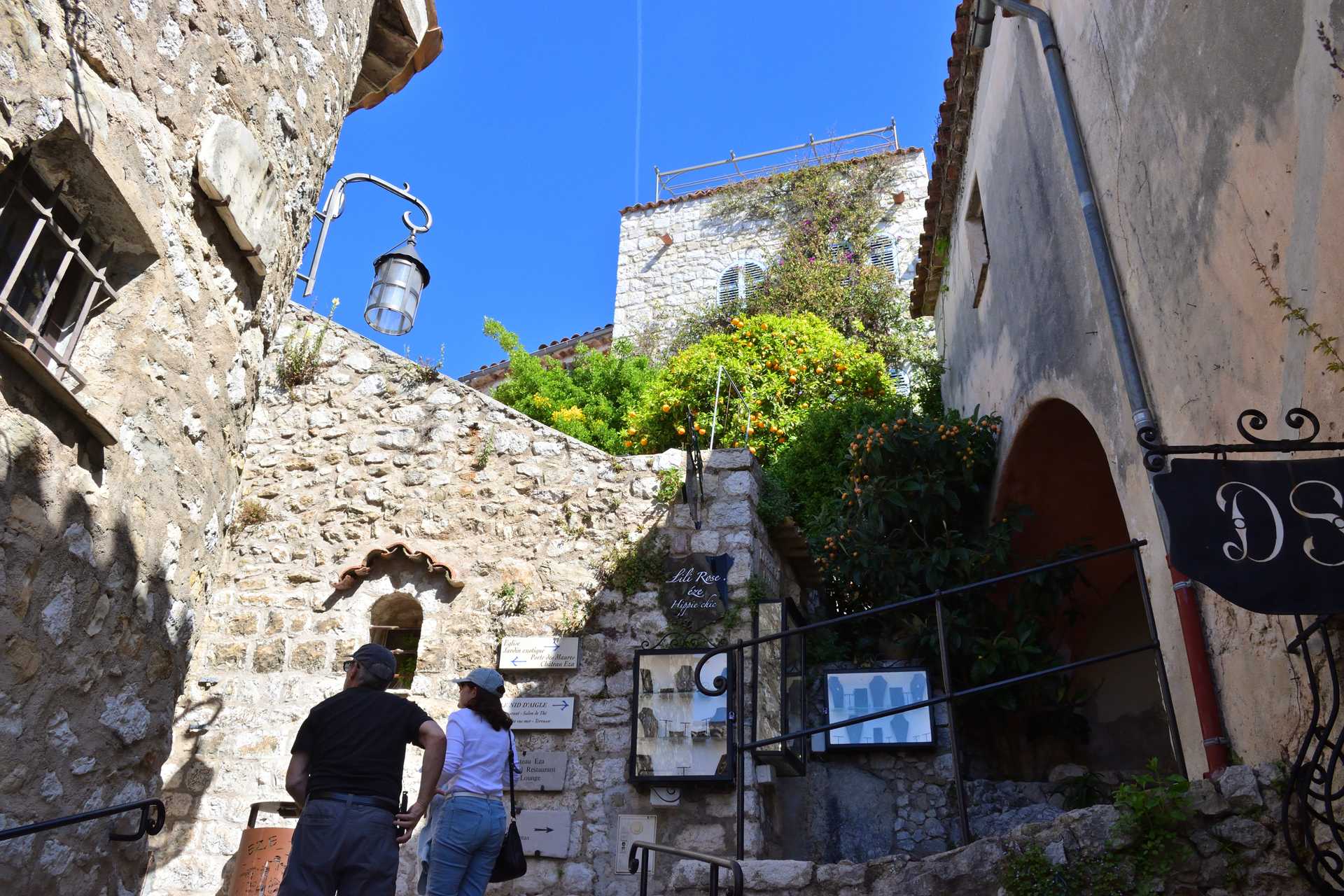 6th Day Eze Village towards Exotic Jardin 31