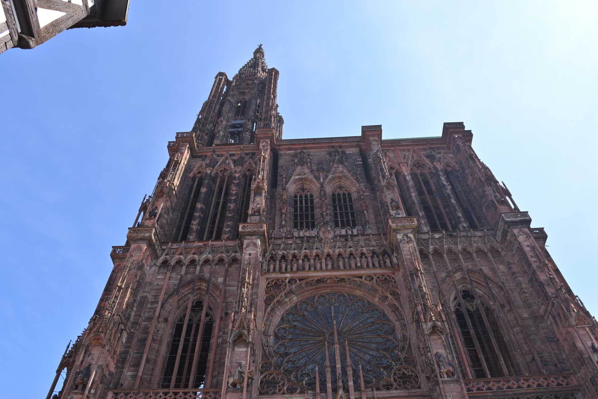 5th Day Strasbourg Cathedrale Notre Dame 2