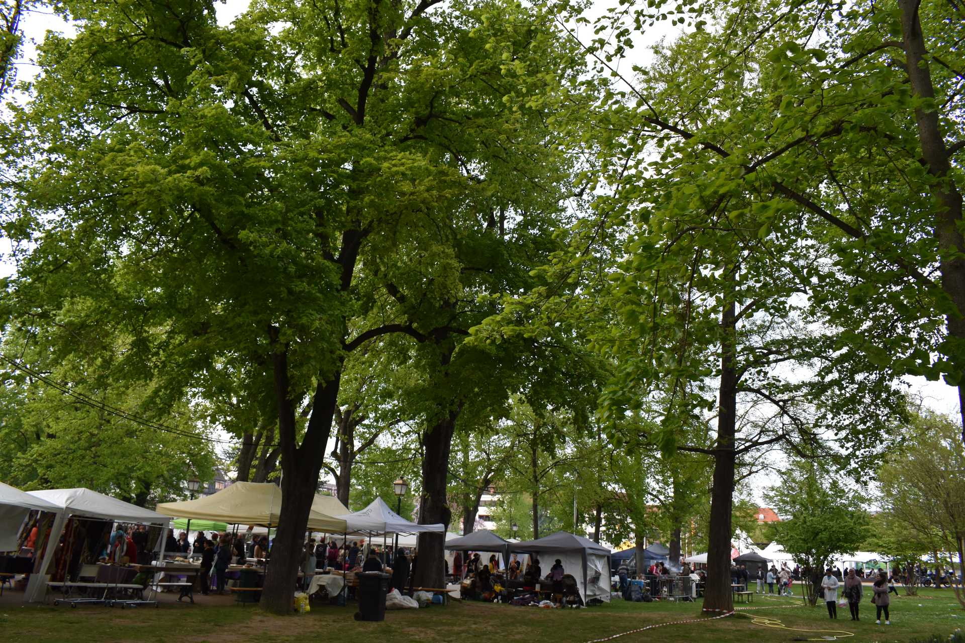 Parc Champ de Mars 12
