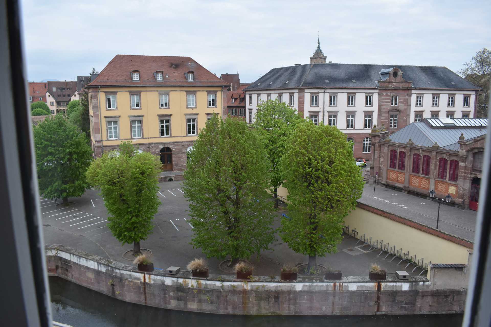 Colmar Apartment 2nd Day Morning 3