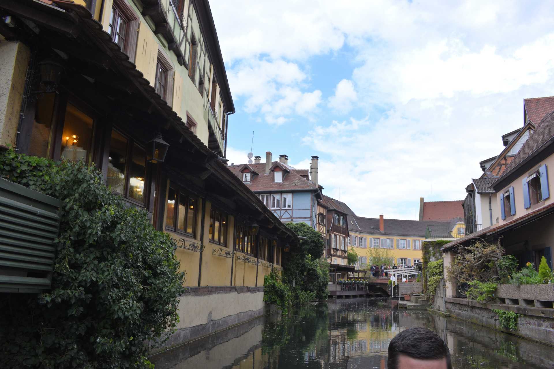 Colmar 3rd Day Sweet Narcisse Go 15