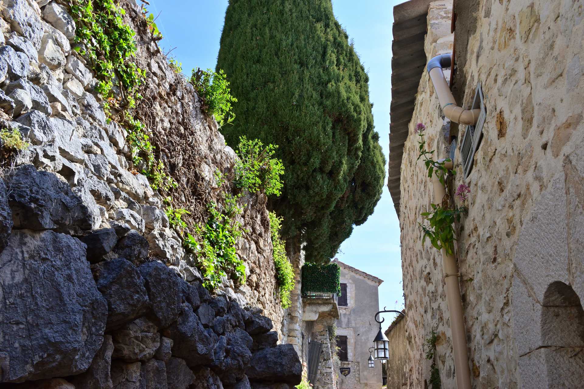 7th Day Eze Village Walk around the Village Center 13