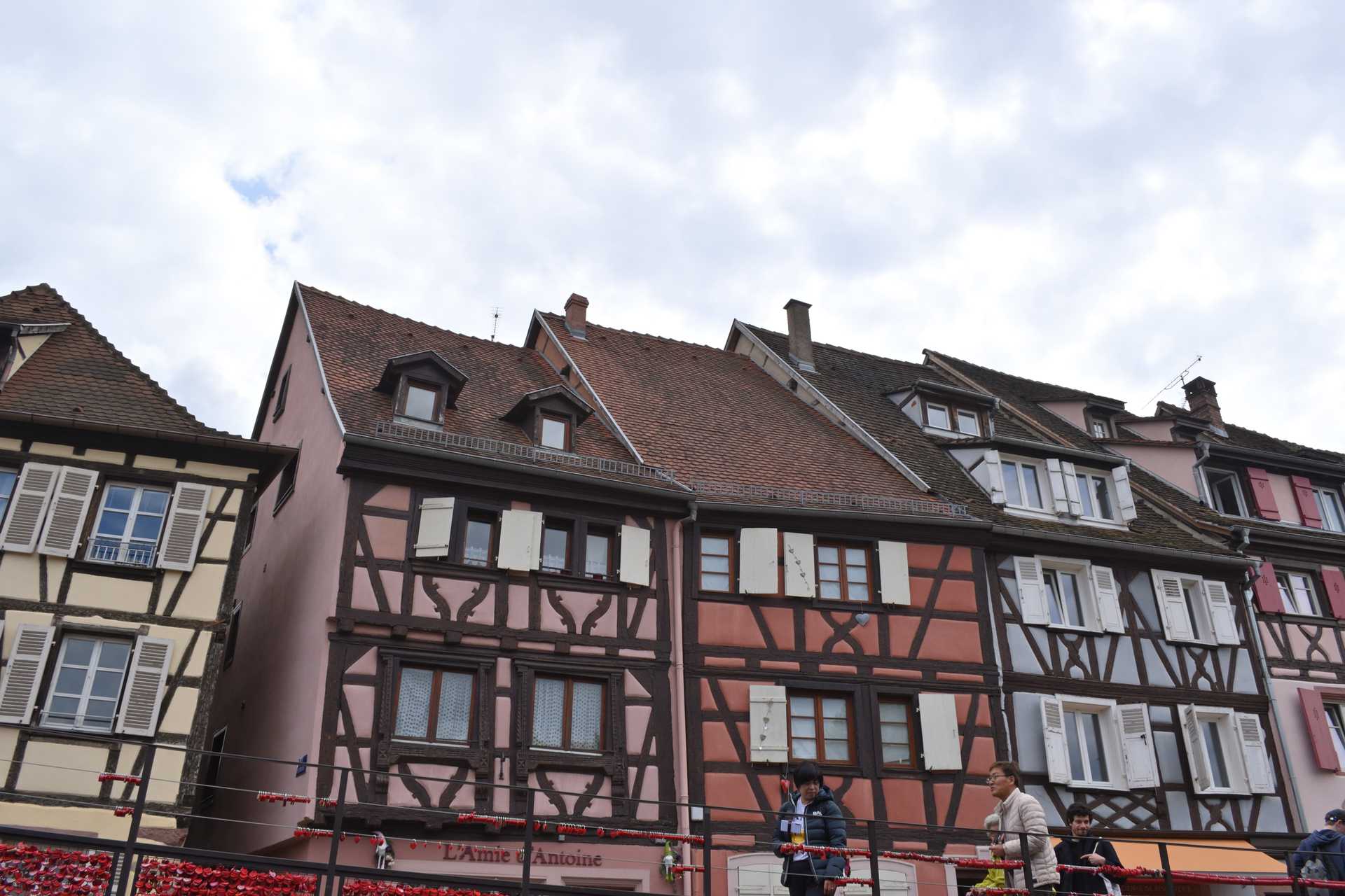 Colmar 3rd Day Sweet Narcisse Return 13