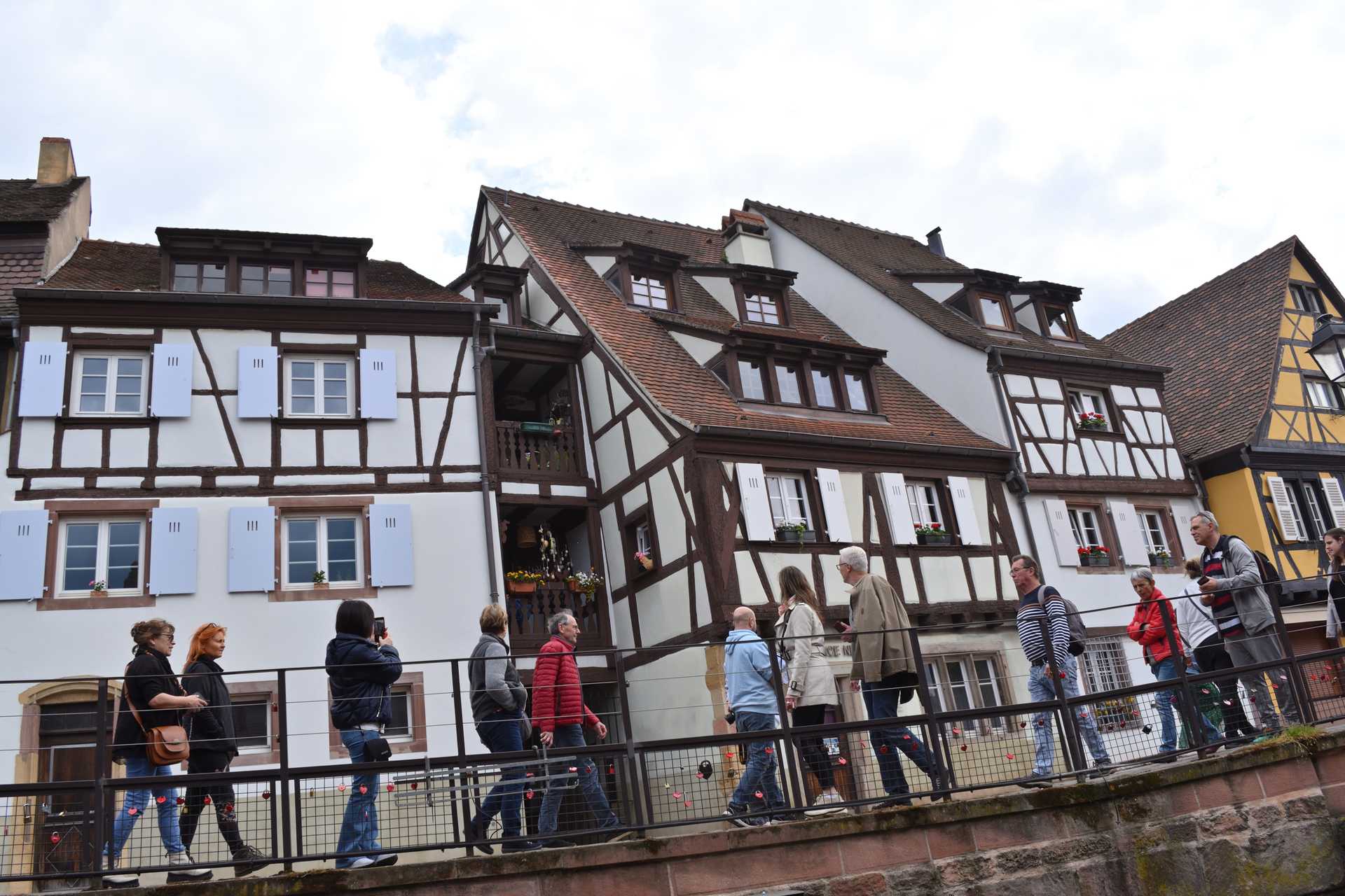 Colmar 3rd Day Sweet Narcisse Return 5