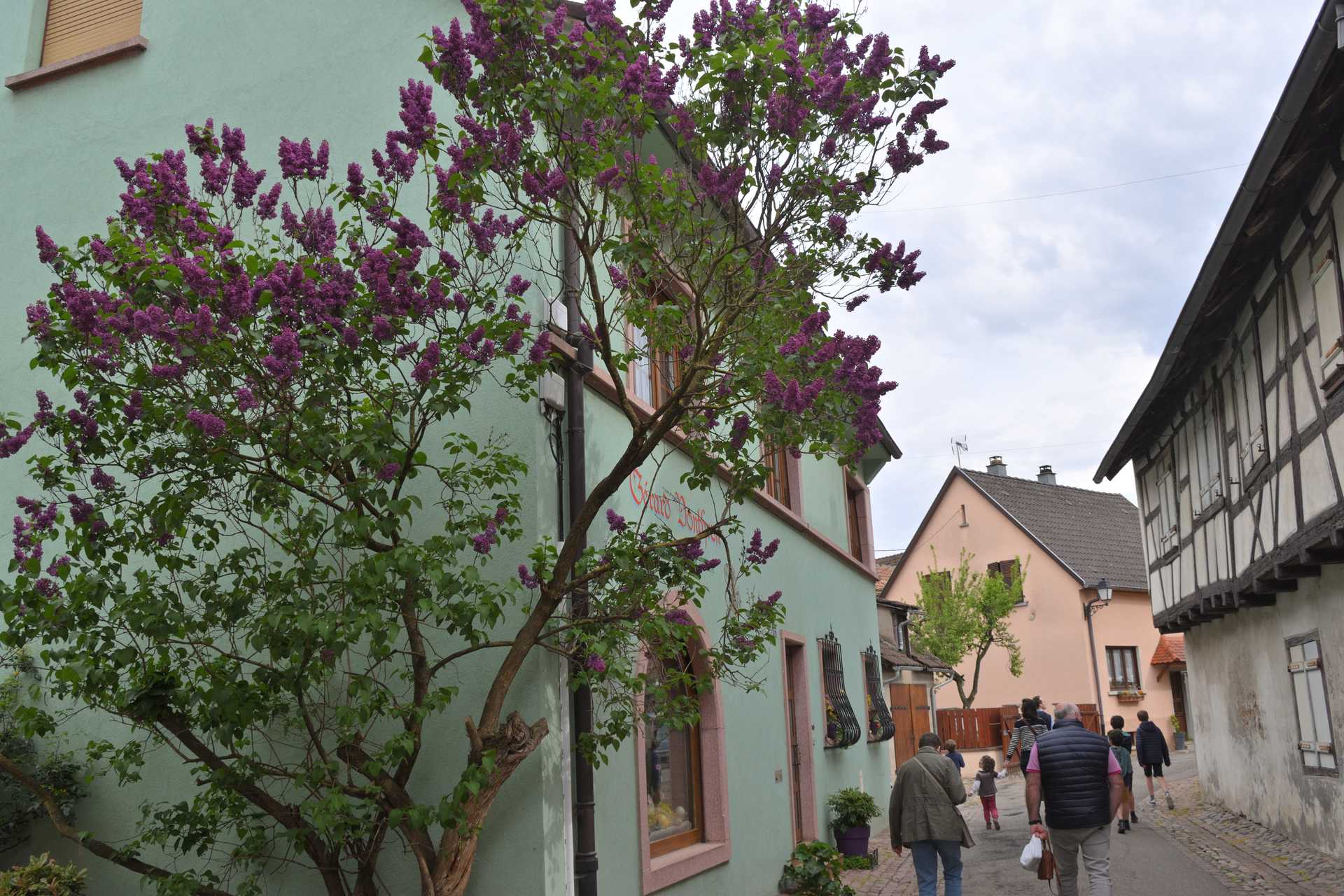 Colmar 3rd Day Eguisheim Rue du Rempart Nord 28