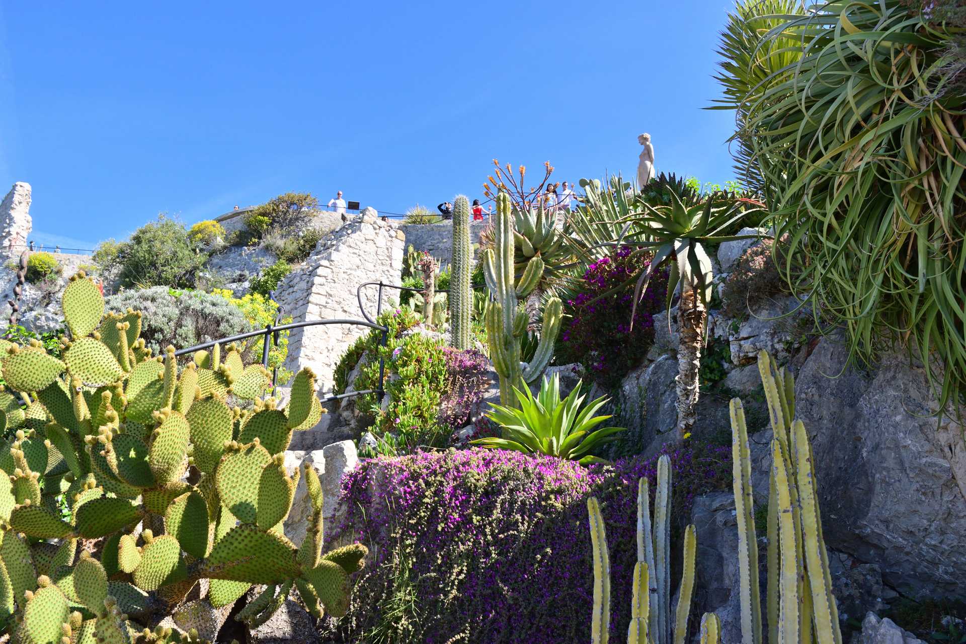 6th Day Eze Village Exotic Jardin to The Top 8