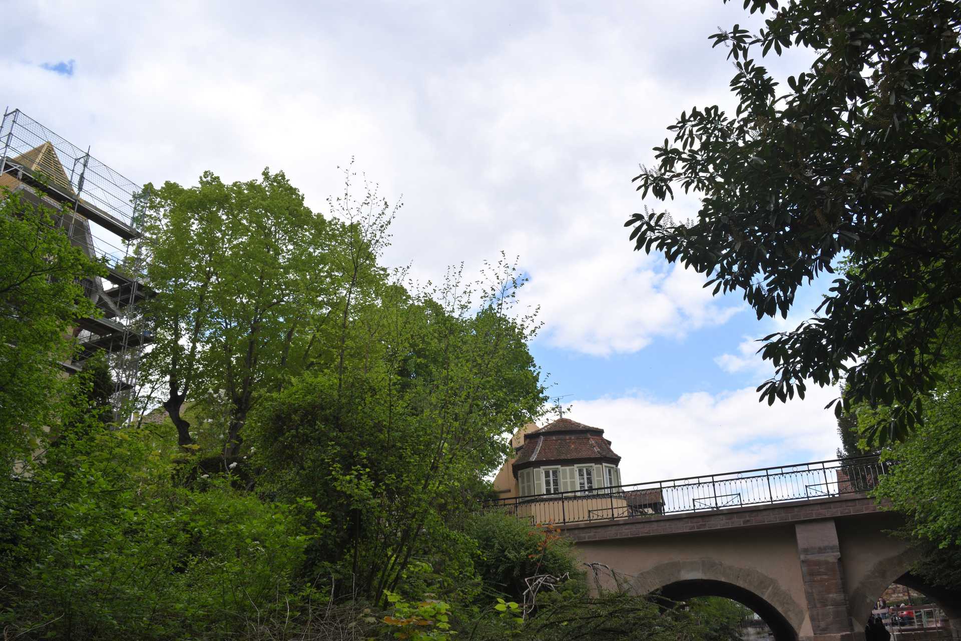 Colmar 3rd Day Sweet Narcisse Go 9