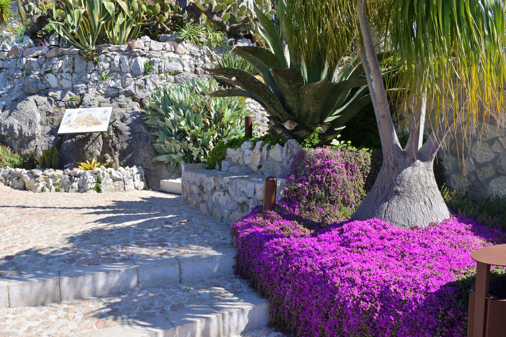 6th Day Eze Village Exotic Jardin to The Top 5