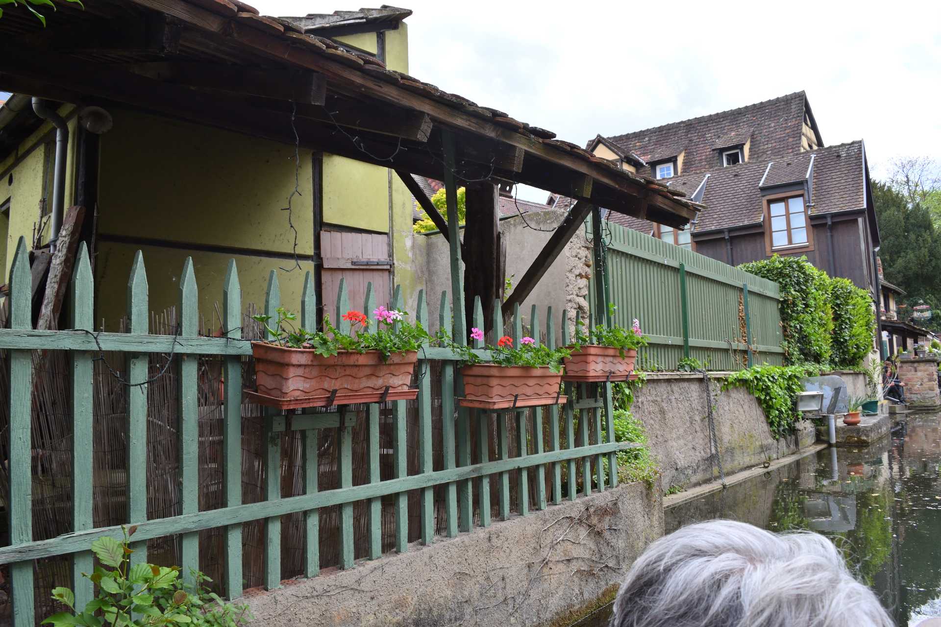 Colmar 3rd Day Sweet Narcisse Return 39