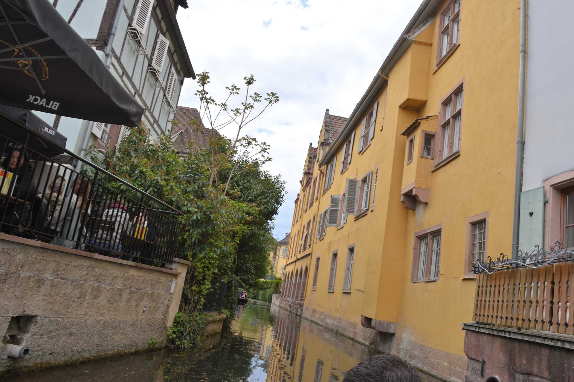 Colmar 3rd Day Sweet Narcisse Return 26