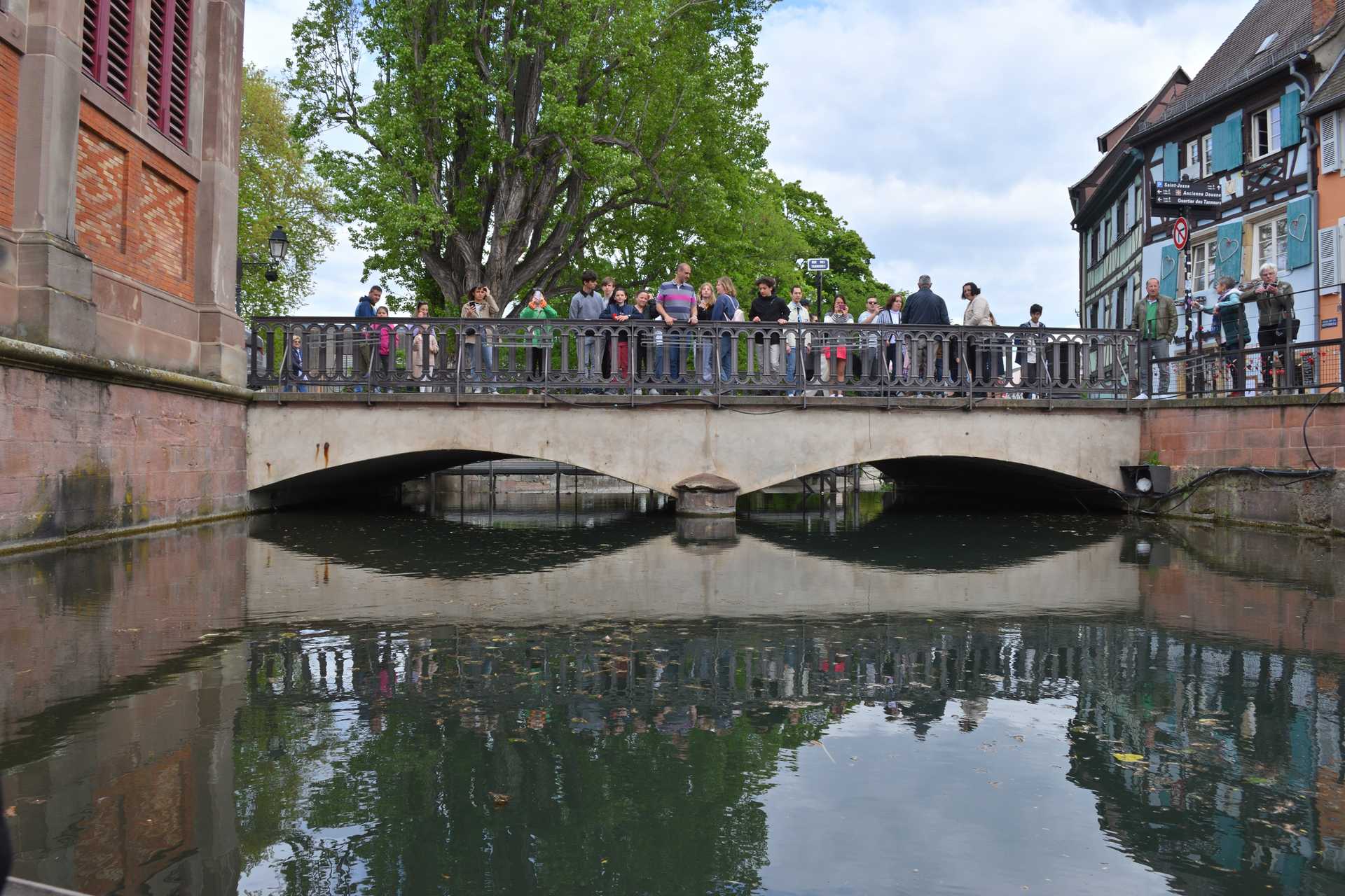 Colmar 3rd Day Sweet Narcisse Go 45