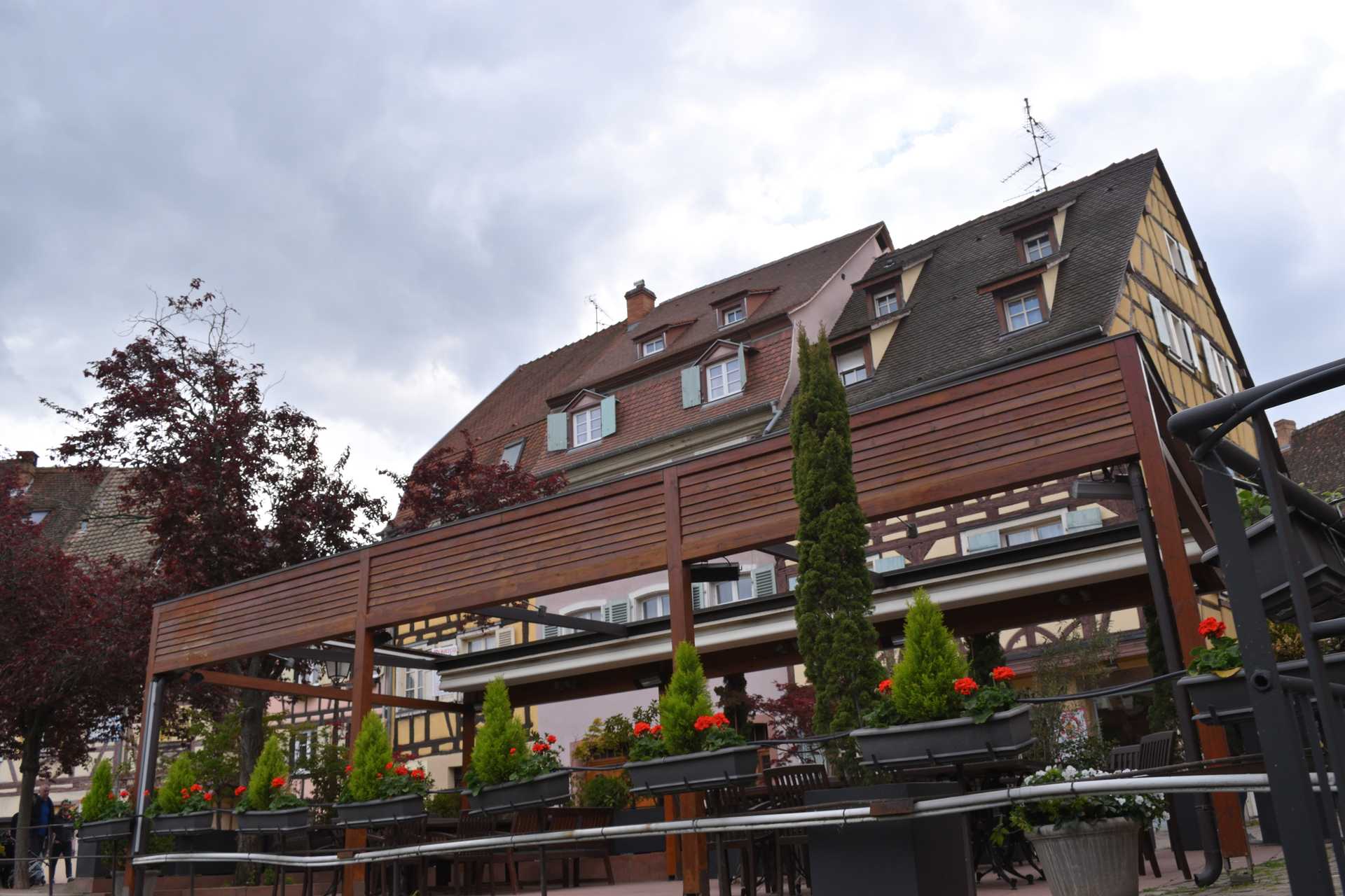 Colmar 3rd Day Sweet Narcisse Go 36