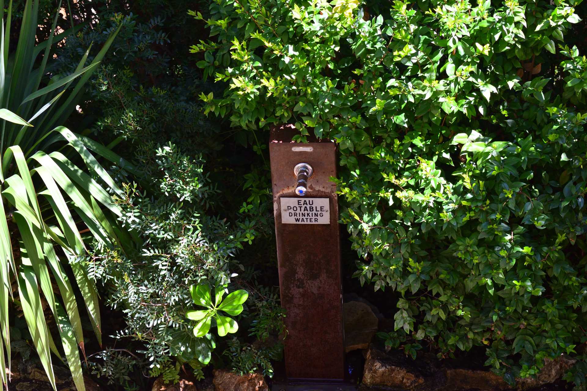 6th Day Eze Village Exotic Jardin Walk Around 55