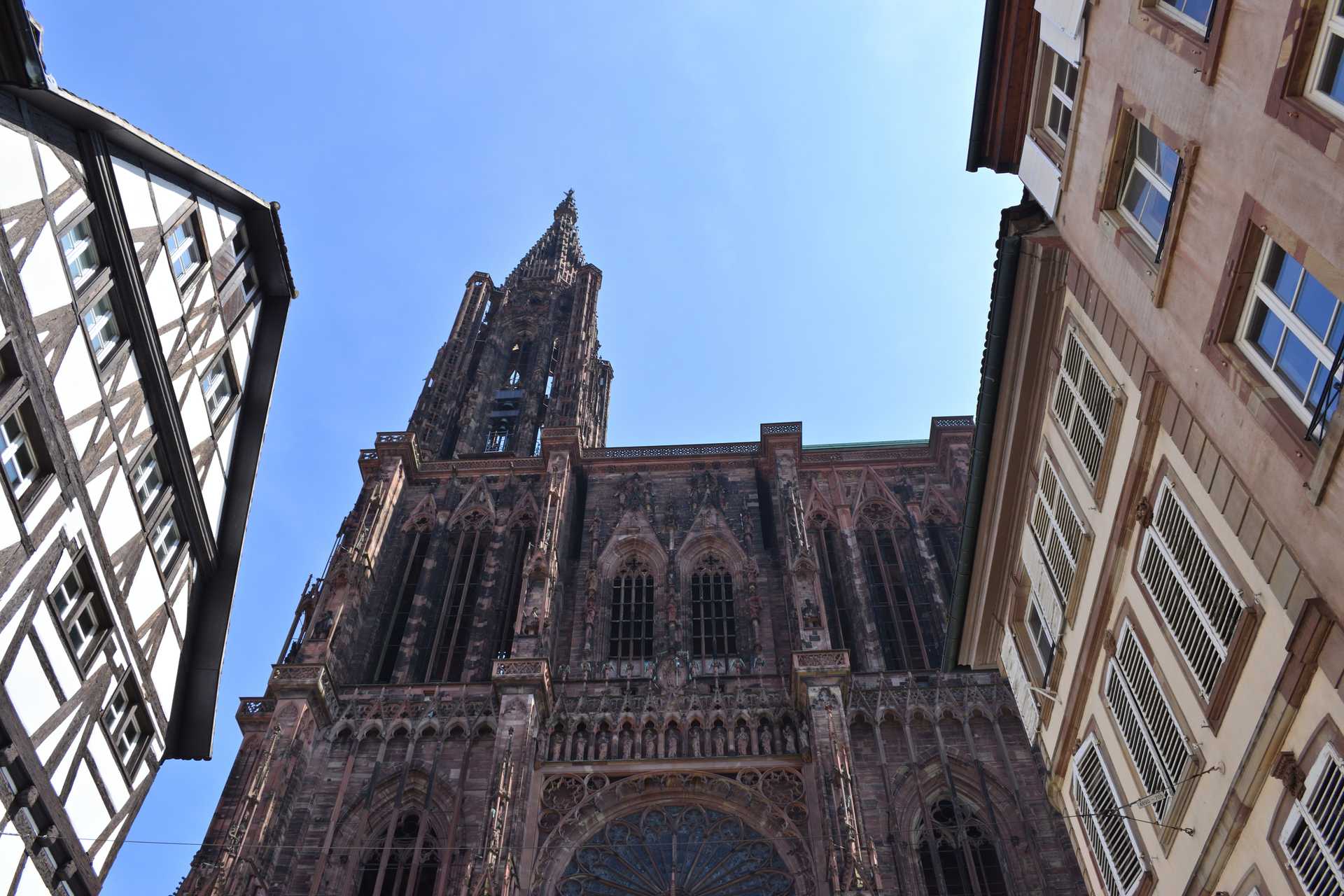5th Day Strasbourg La Grande Dame 3