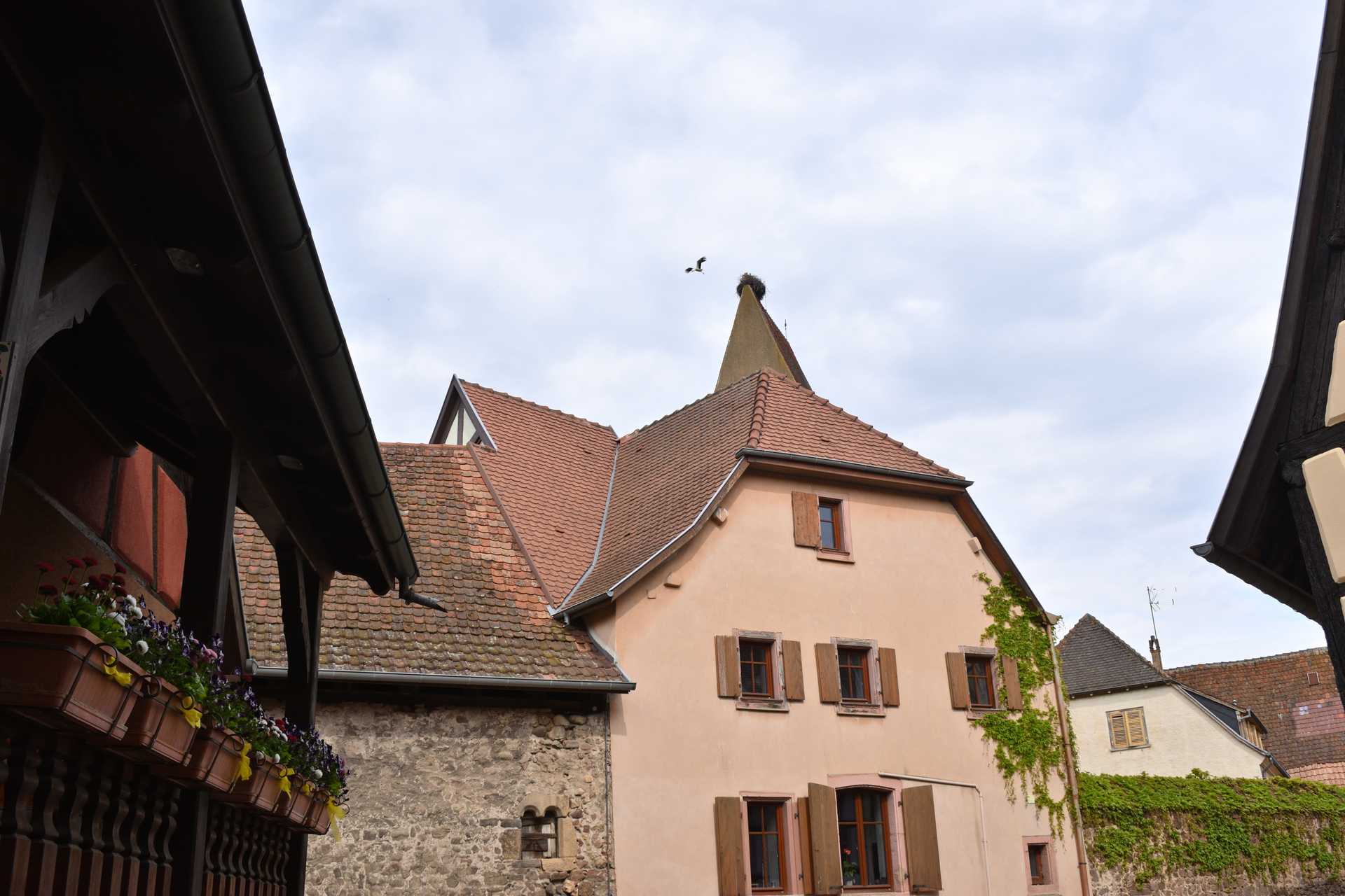 Colmar 3rd Day Eguisheim Rue du Rempart 26