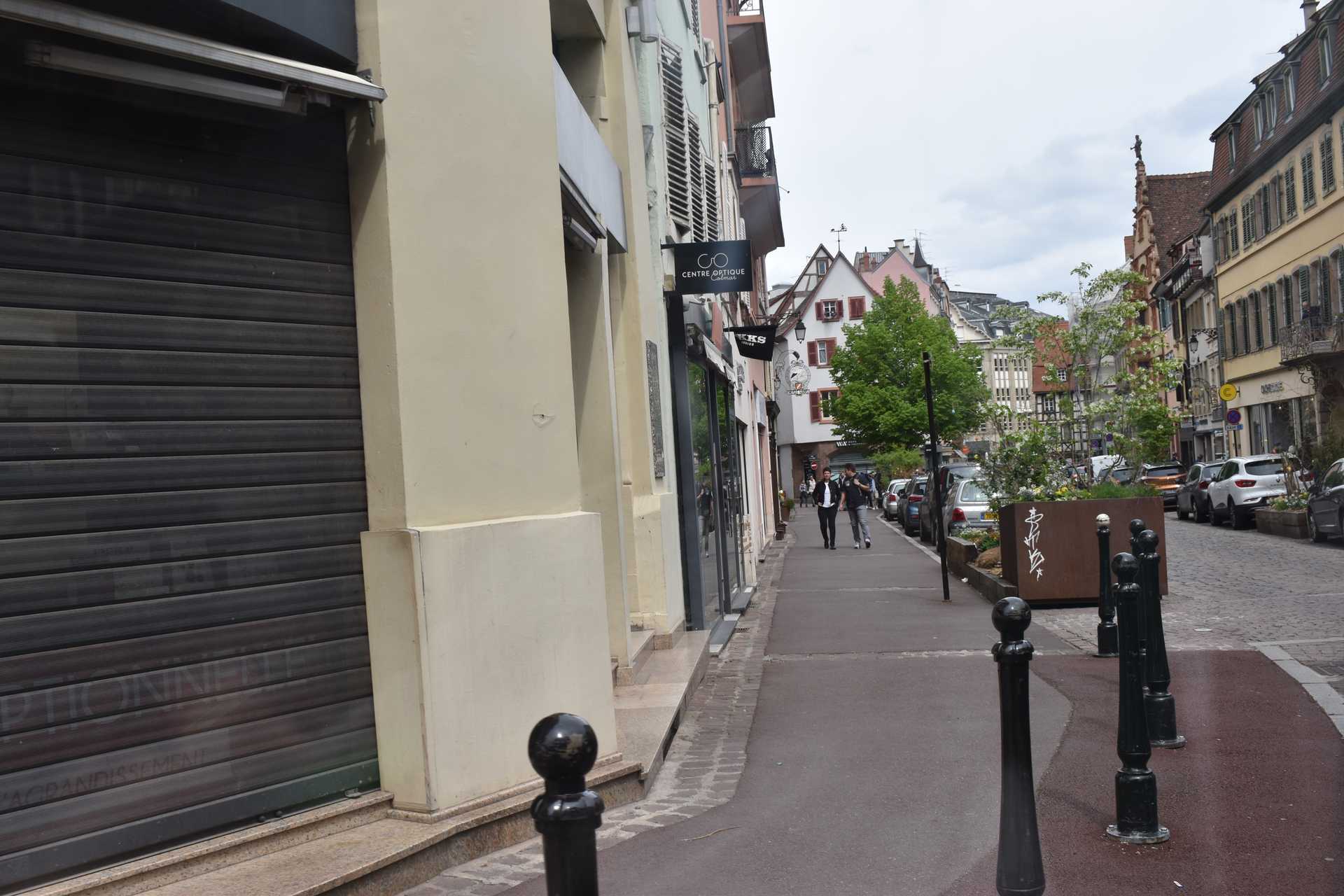 Colmar 2nd Day Petit Train Touristique 9