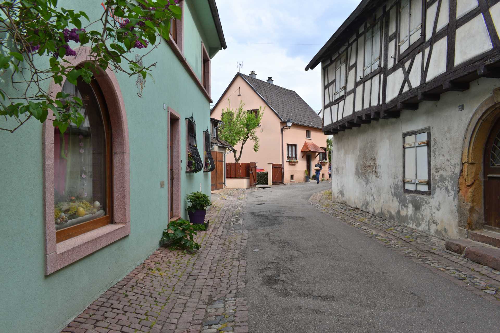 Colmar 3rd Day Eguisheim Rue du Rempart Nord 29