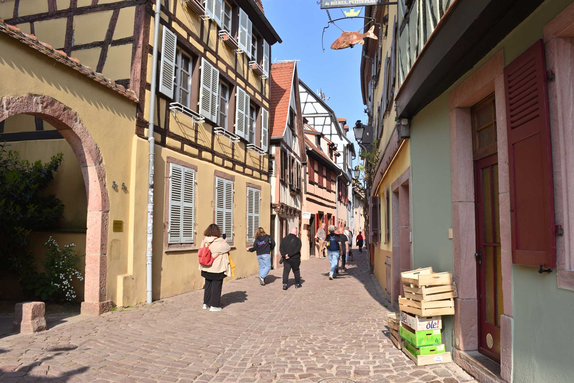 Colmar 4th Day Free Time Parc to Poissonnerie 13