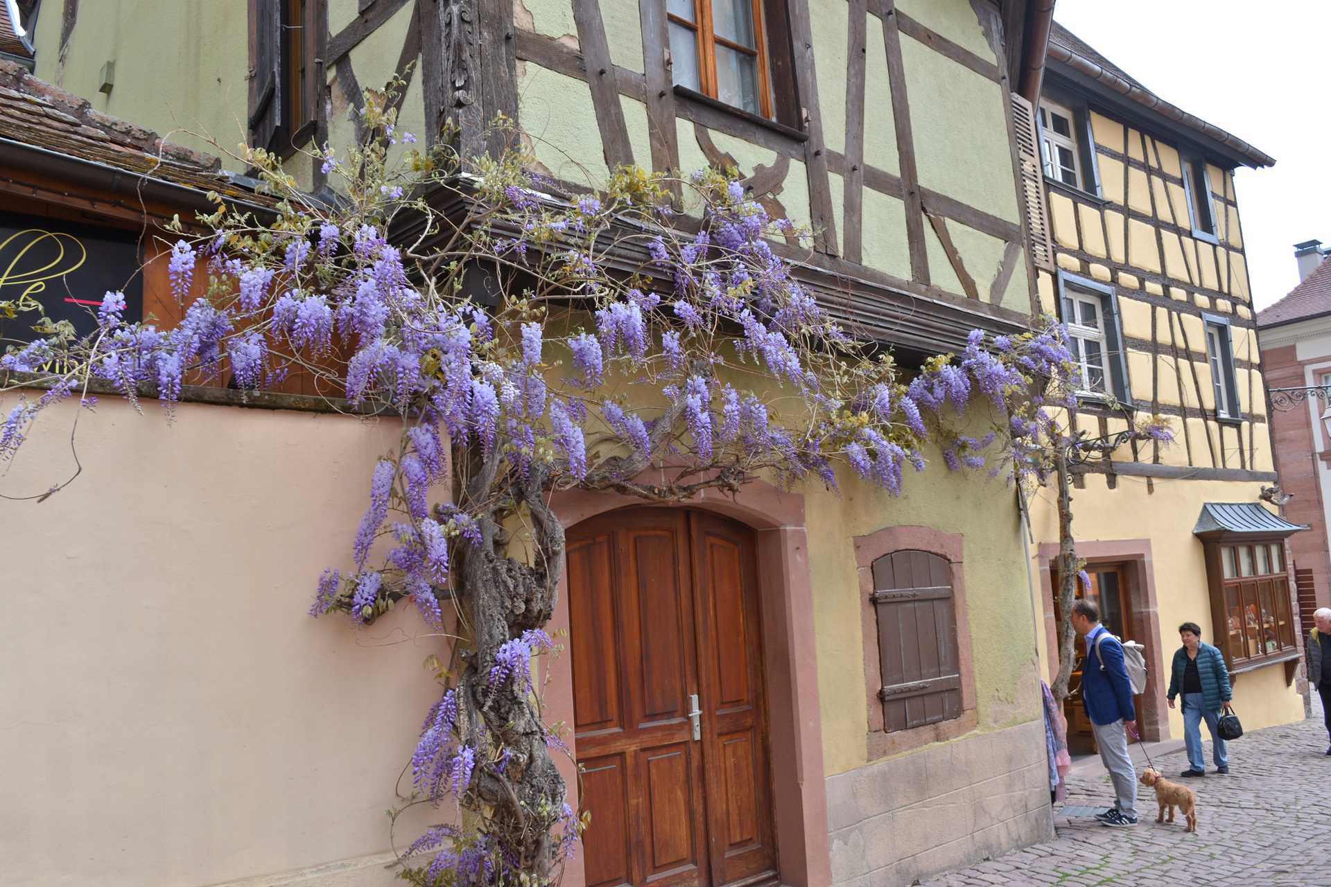 Colmar 4th Day Riquewihr Rue du General de Gaulle 12