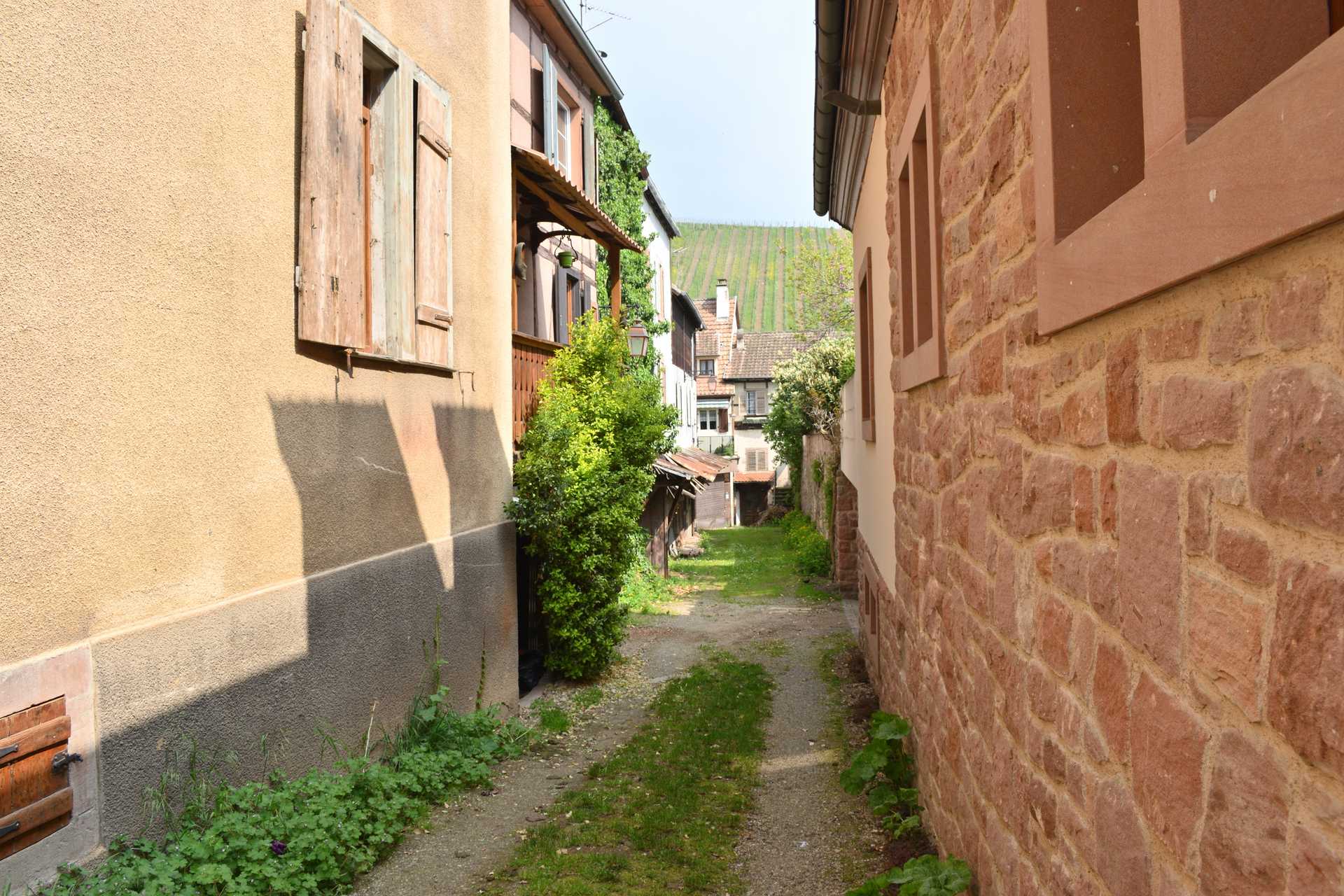 Colmar 4th Day Riquewihr Rue du General de Gaulle 5