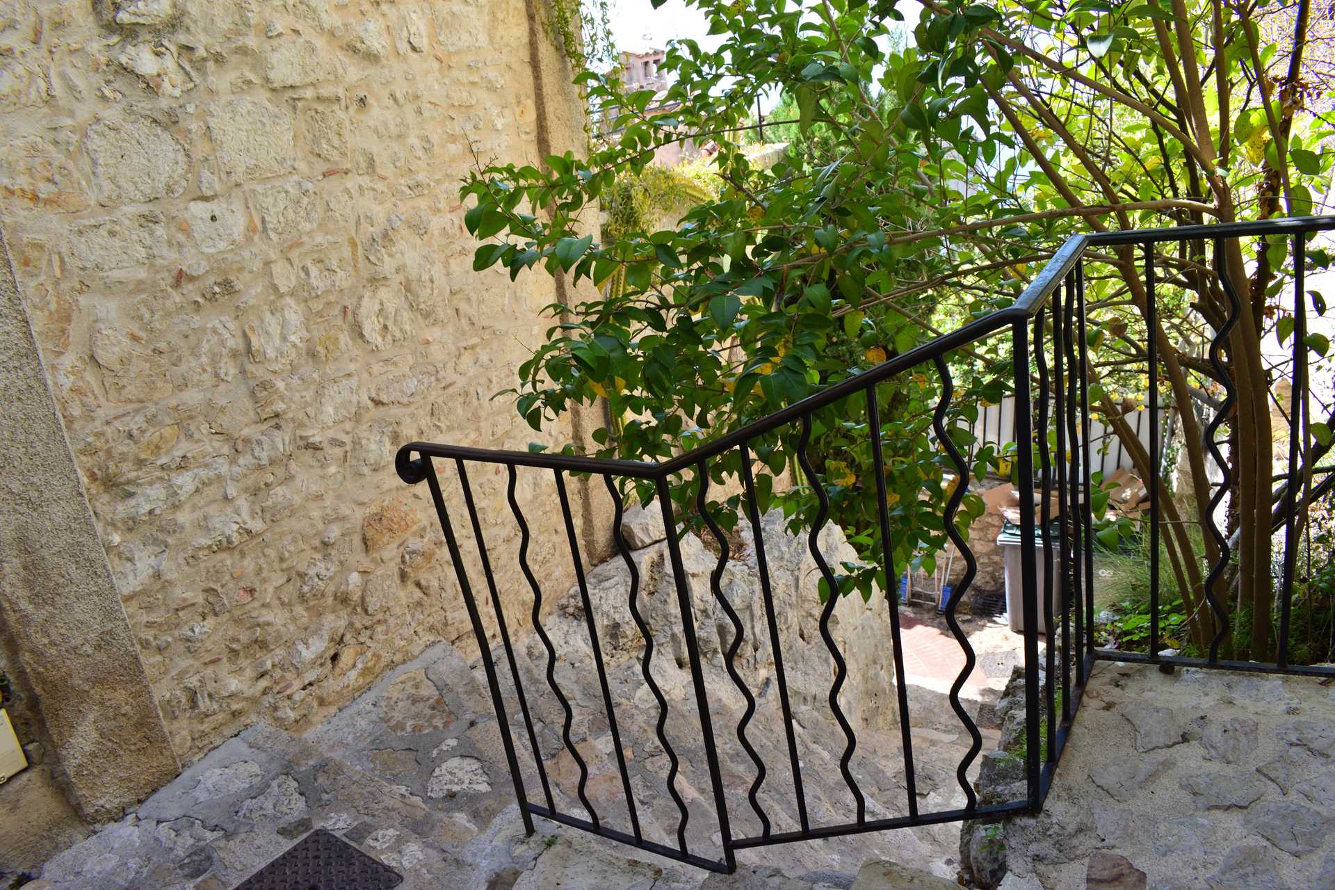 7th Day Eze Village Walk around the Village Center 3