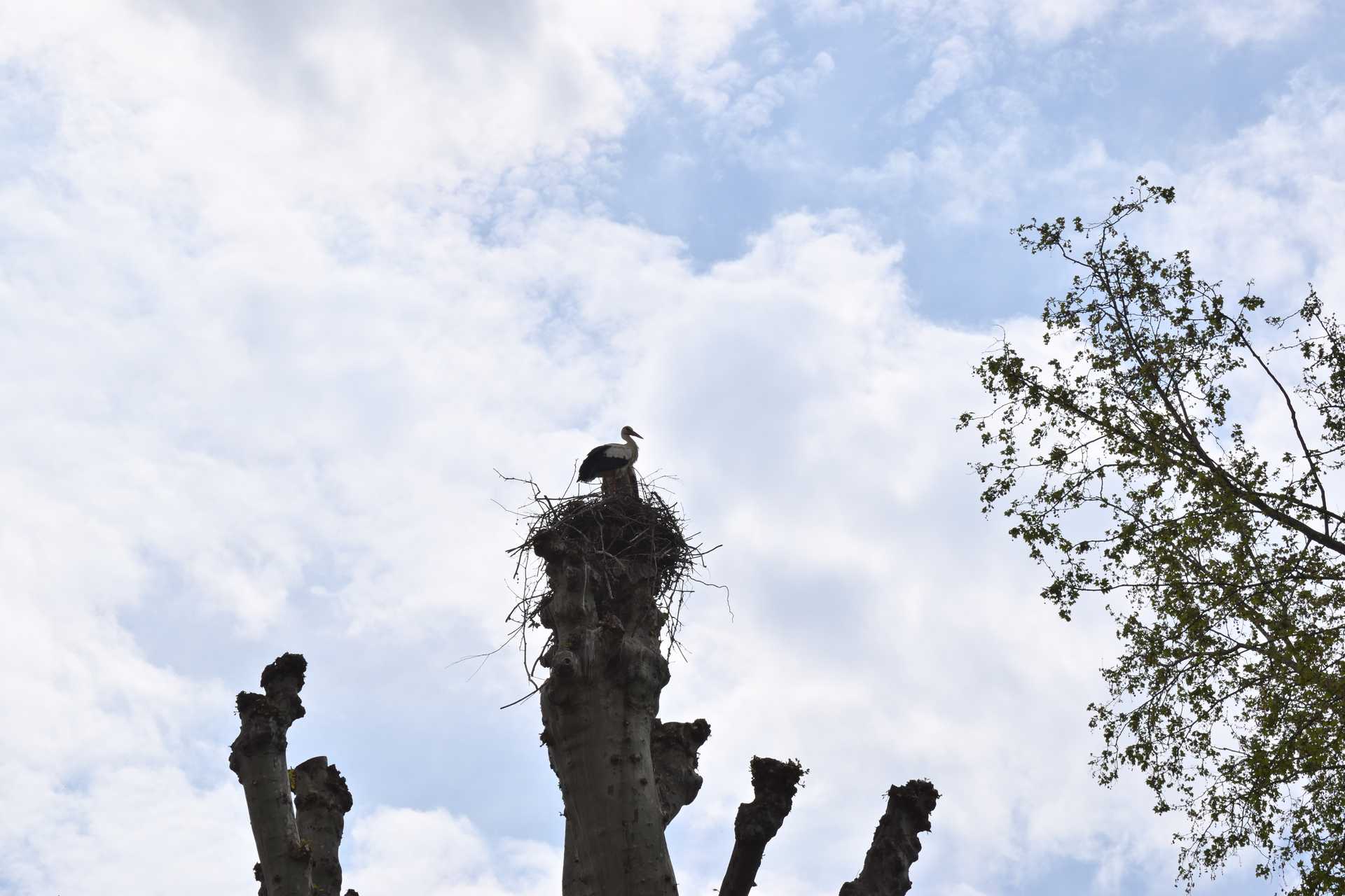 Colmar 3rd Day Pl des Unterlinden 2