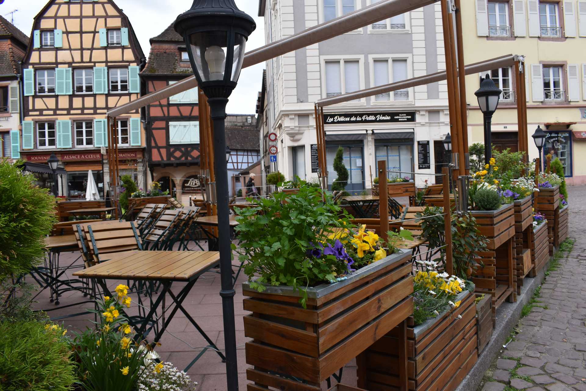 Colmar 2nd Day Morning 11