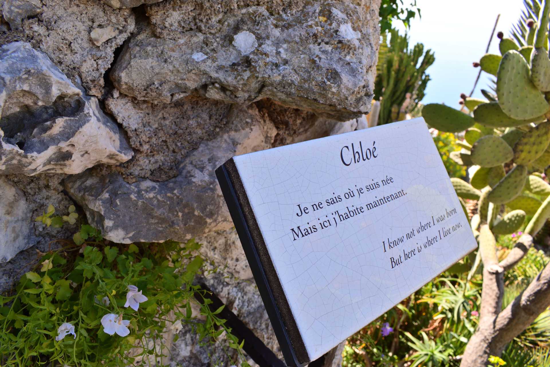 6th Day Eze Village Exotic Jardin to The Top 15