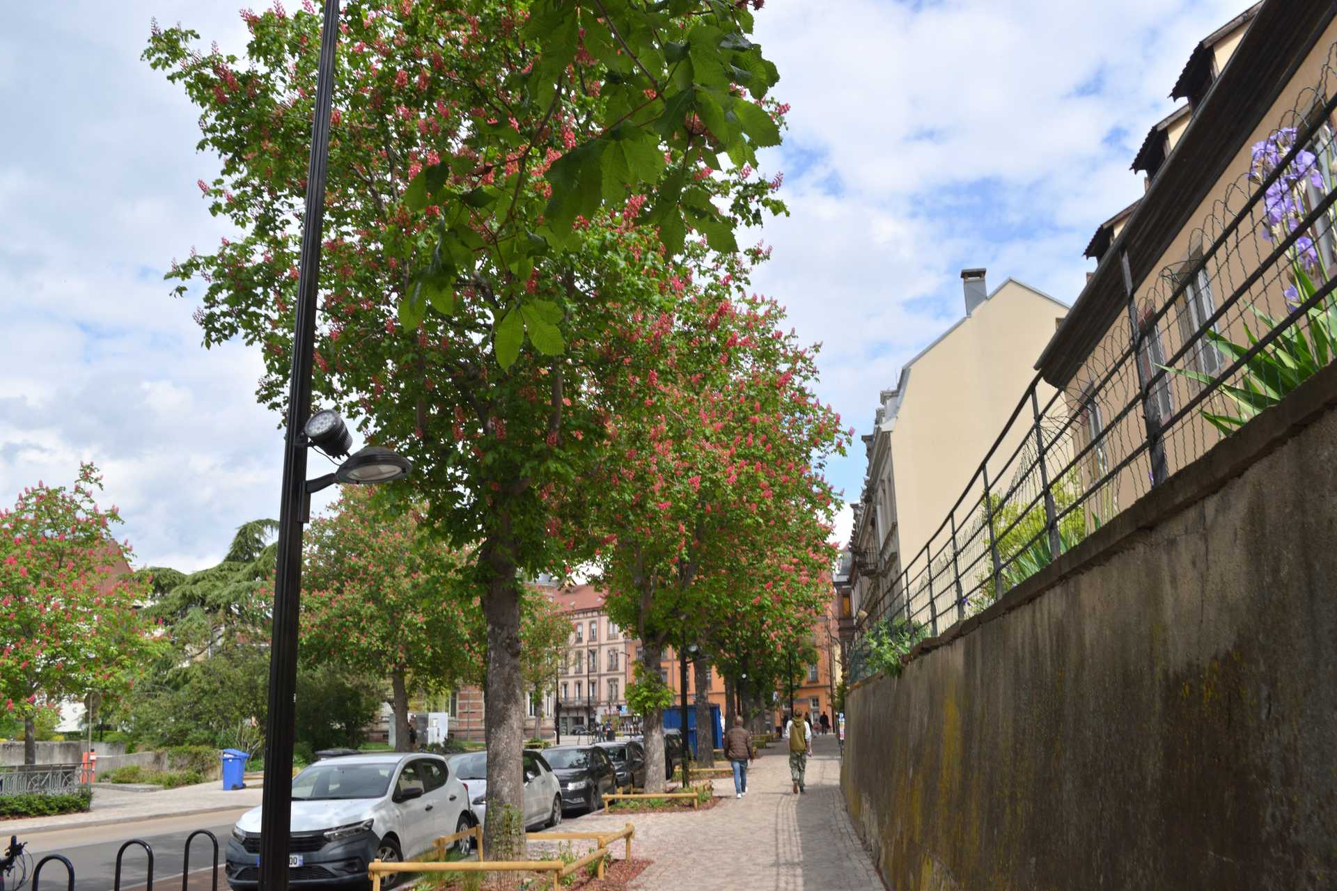 Colmar 3rd Day to Office de Tourism 5