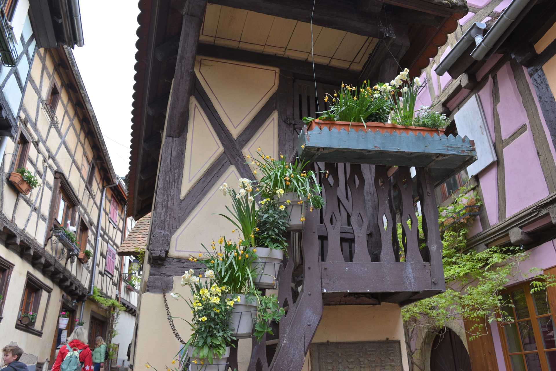Colmar 3rd Day Eguisheim La Grange d'Eguisheim 5