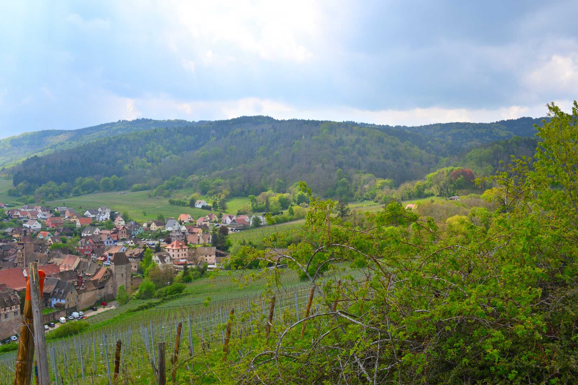 Colmar 4th Day Riquewihr Petit Train SAAT 27