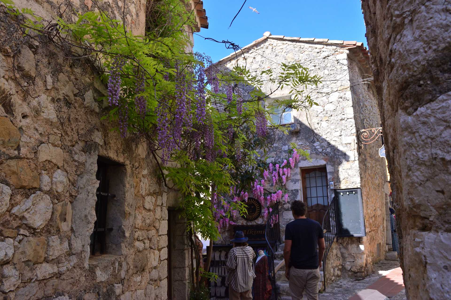 6th Day Eze Village towards Exotic Jardin 35