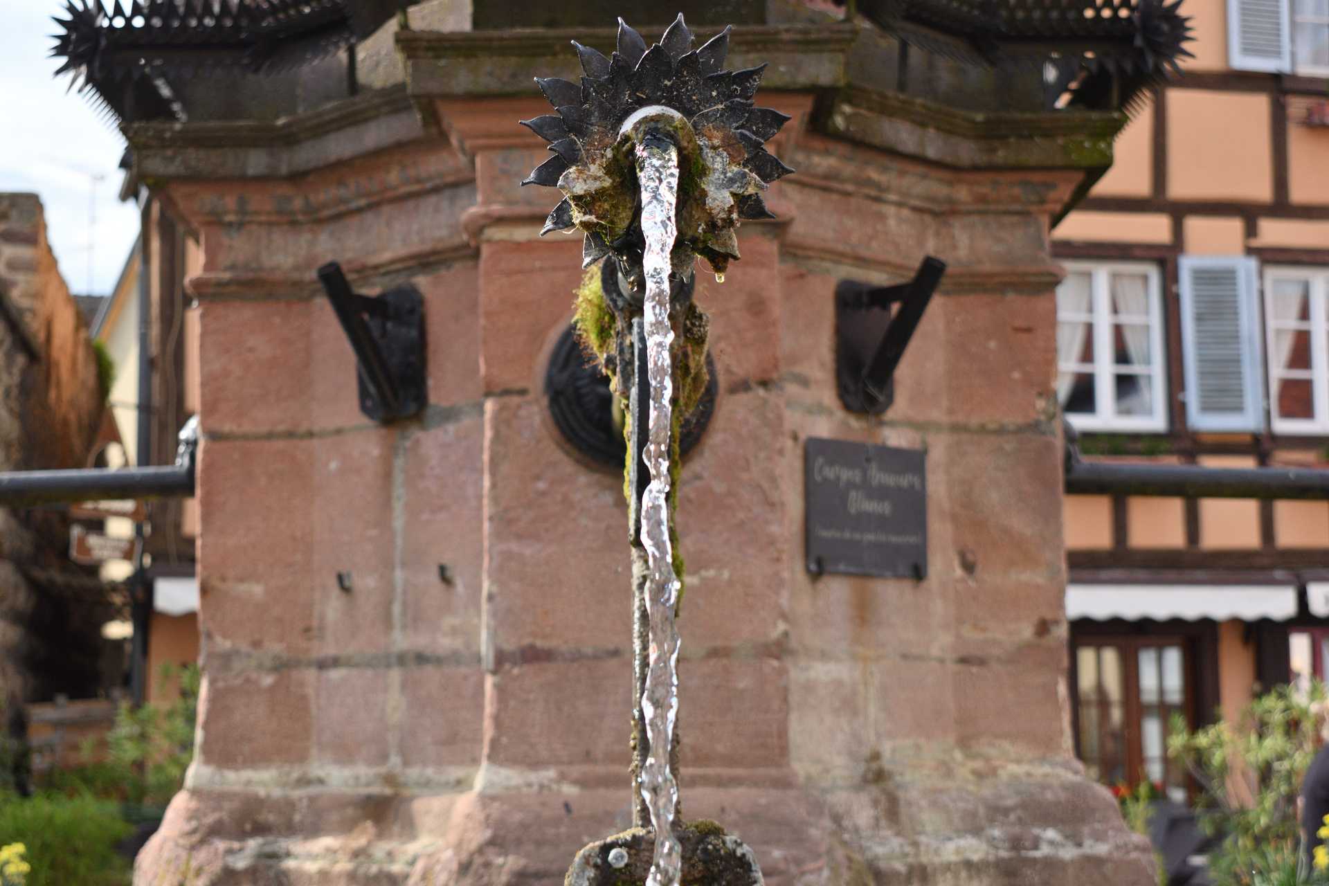 Colmar 3rd Day Eguisheim Pl du Chateau Saint Leon 16