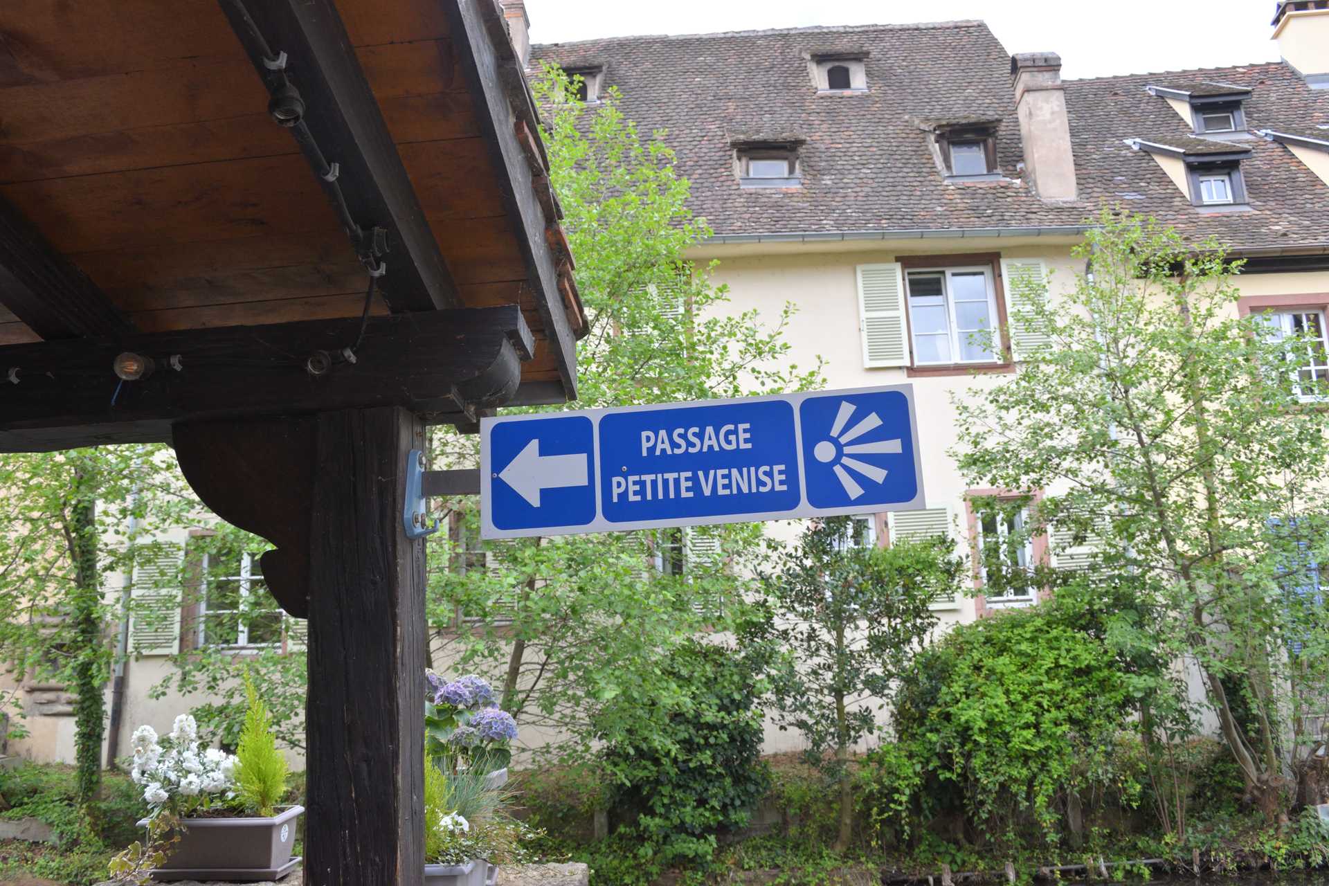 Colmar 3rd Day Sweet Narcisse End