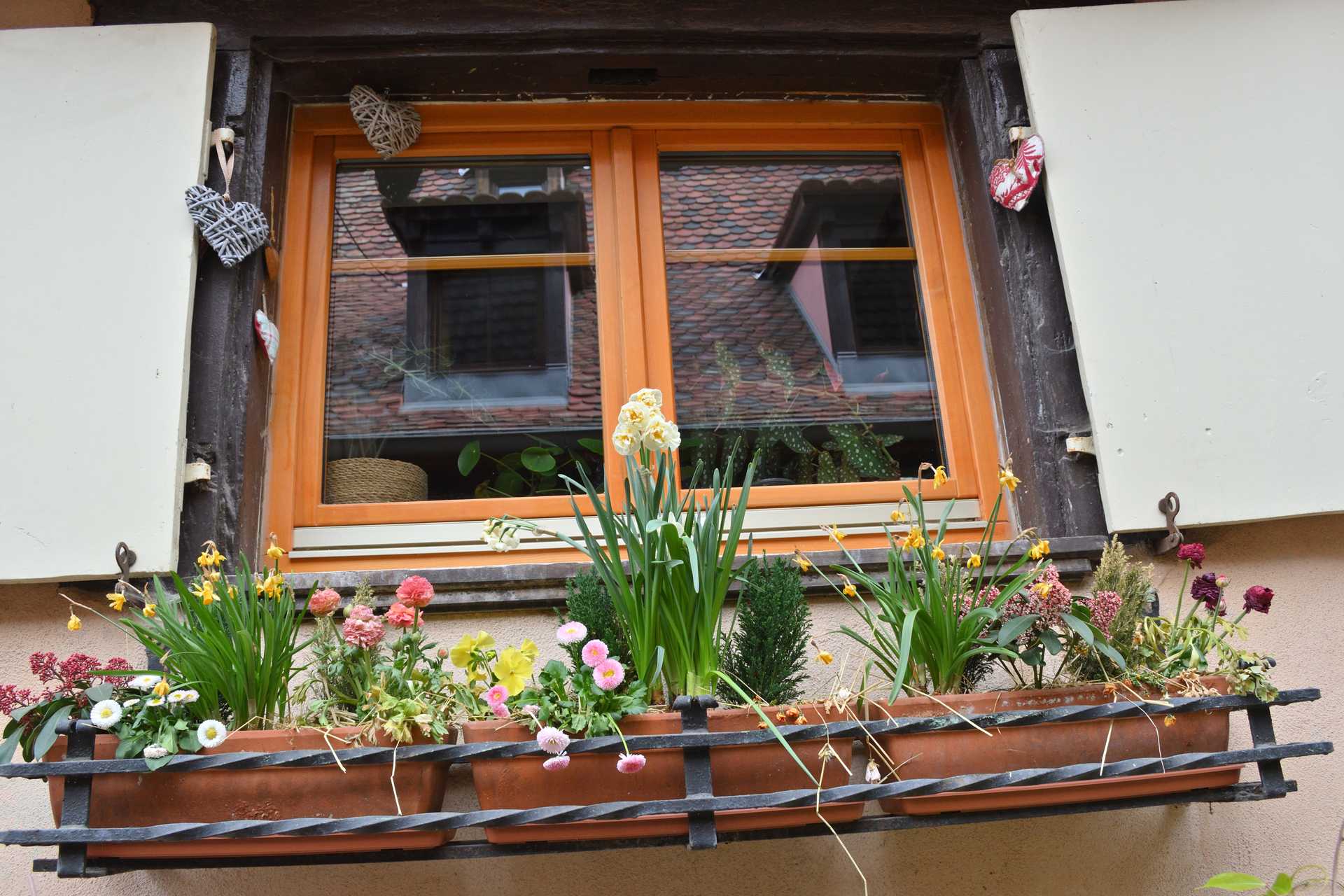 Colmar 3rd Day Eguisheim Rue du Rempart 10