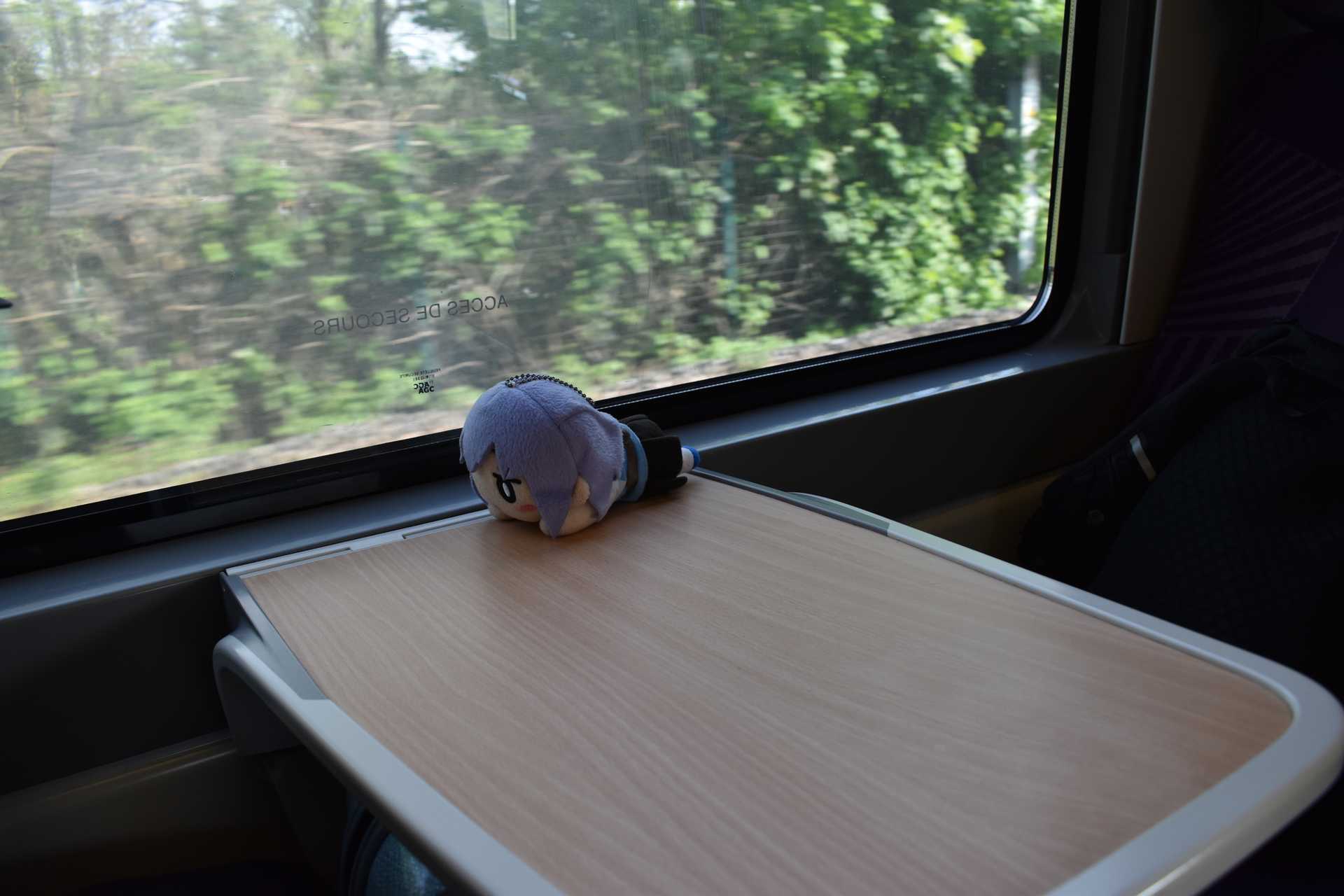 TER Strasbourg to Colmar Chino